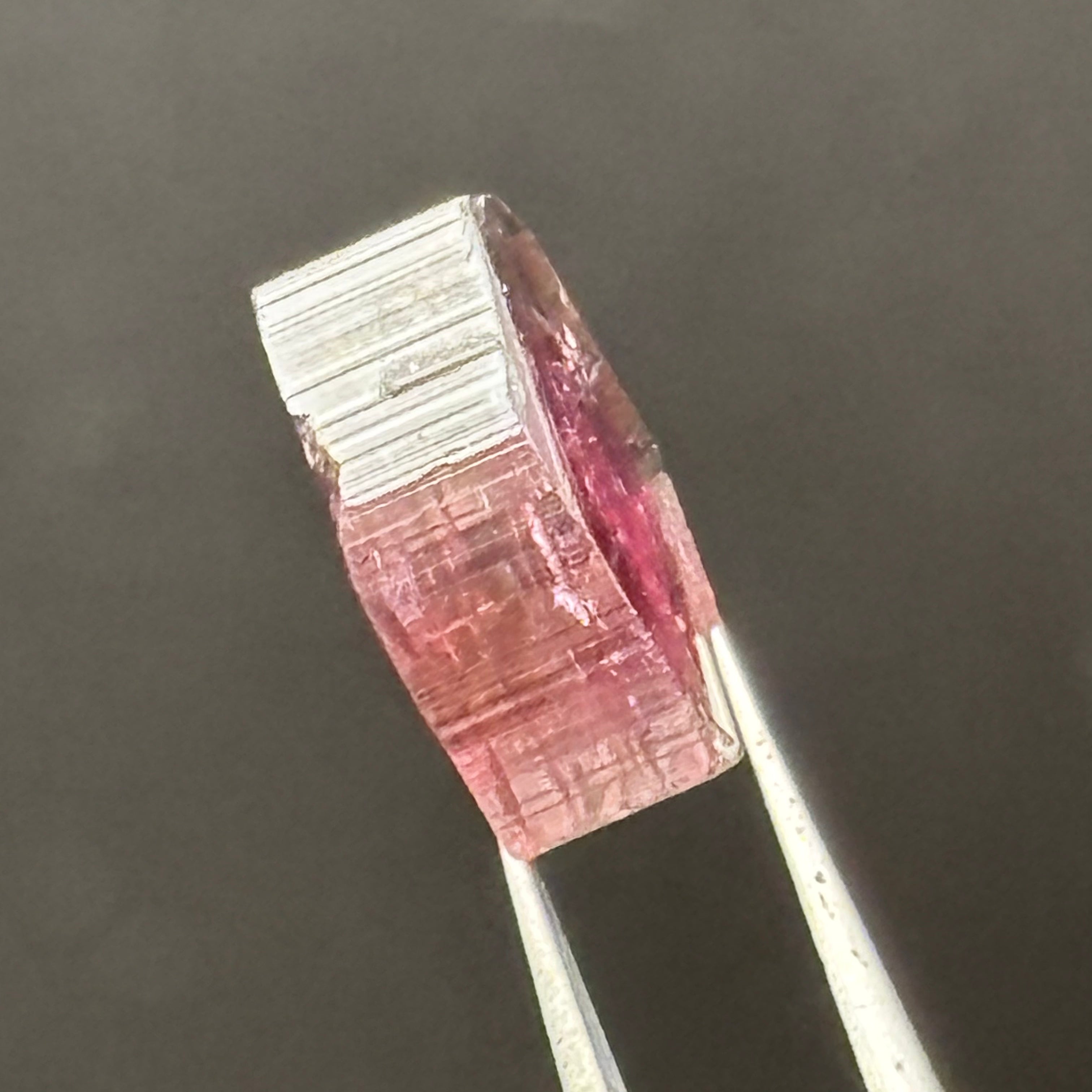 Watermelon Tourmaline Cross-Section - 103