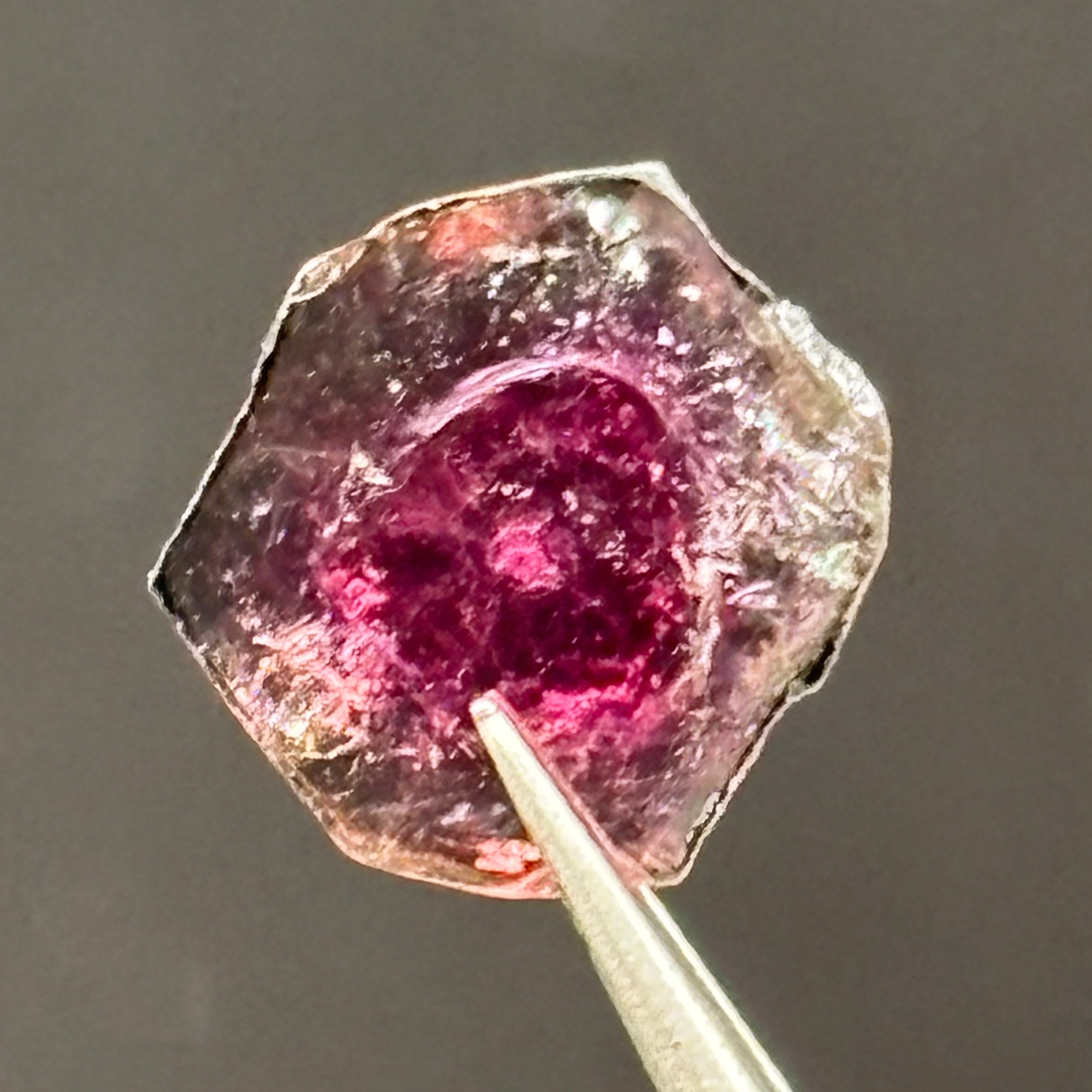 Watermelon Tourmaline Cross-Section - 103
