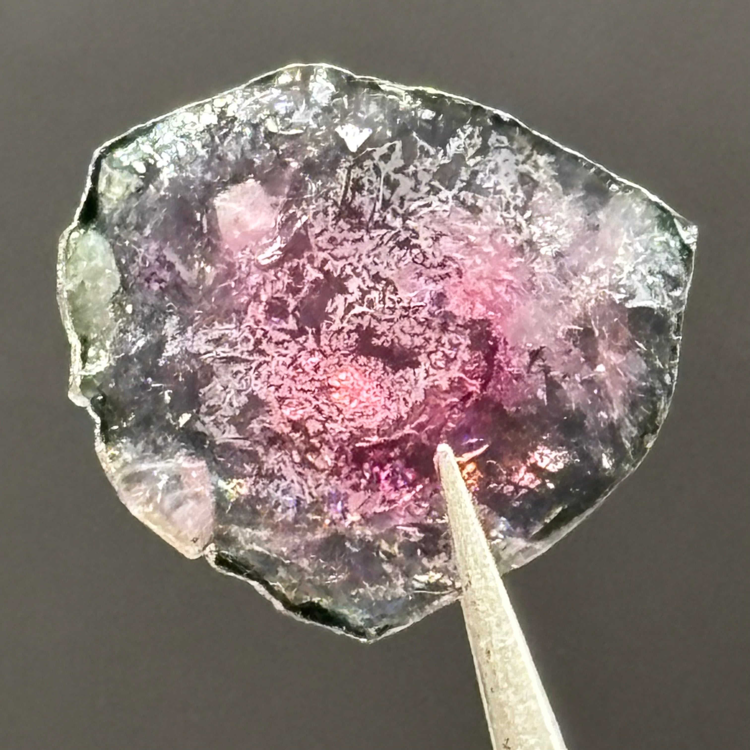 Watermelon Tourmaline Cross-Section - 104