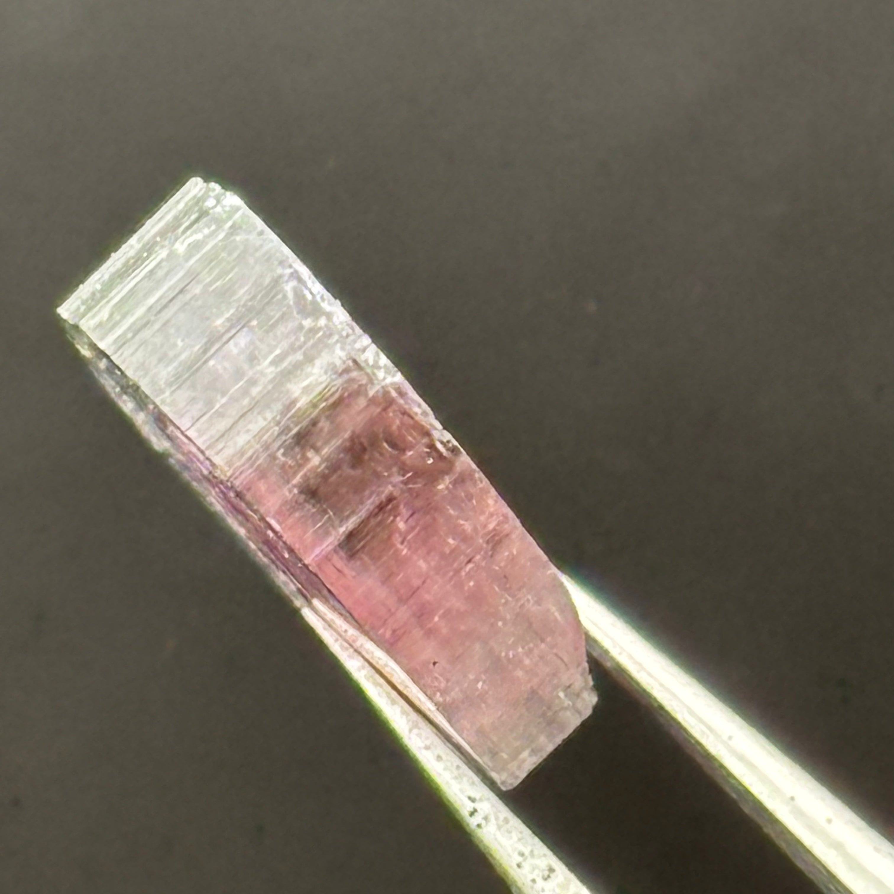 Watermelon Tourmaline Cross-Section - 104