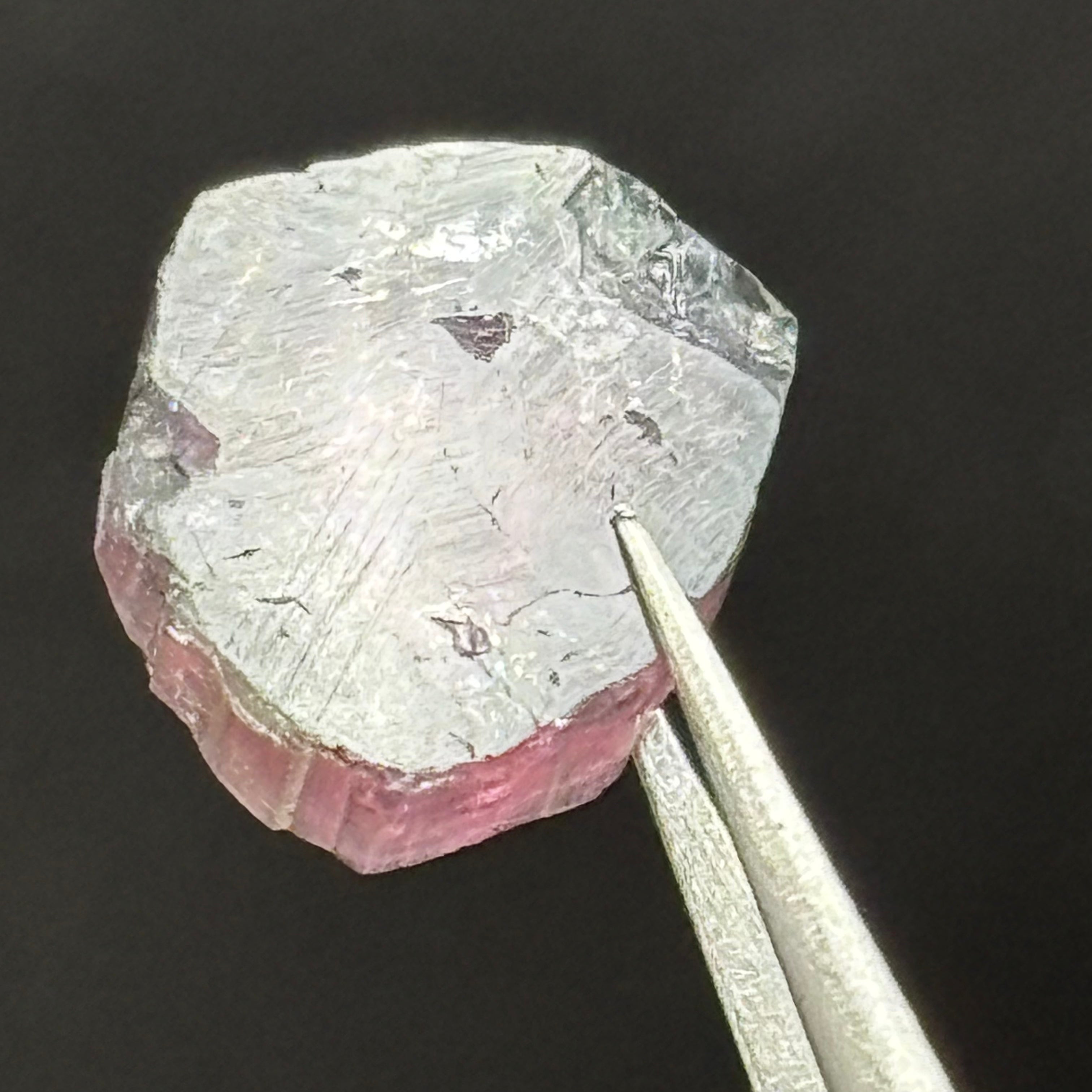 Watermelon Tourmaline Cross-Section - 104