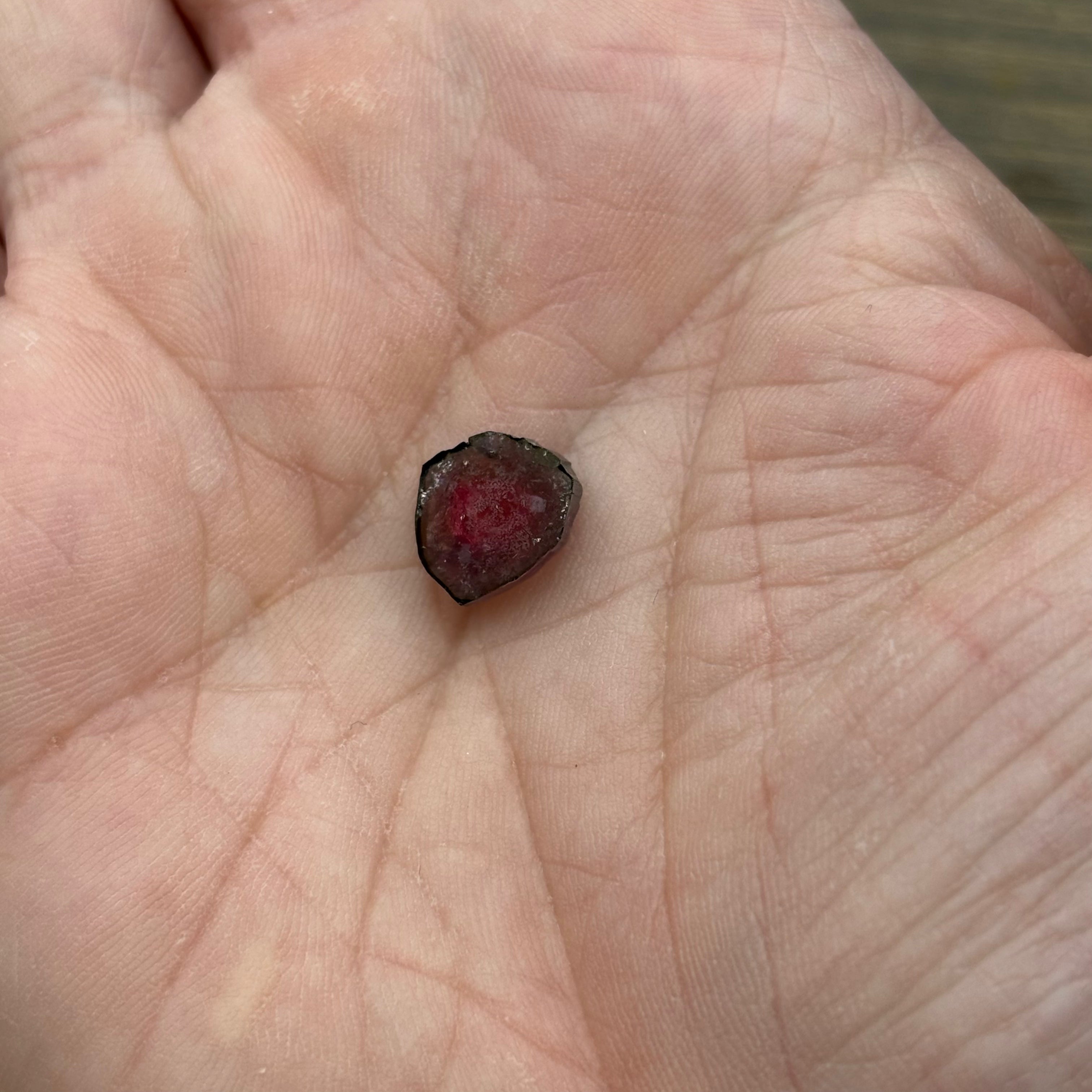 Watermelon Tourmaline Cross-Section - 104