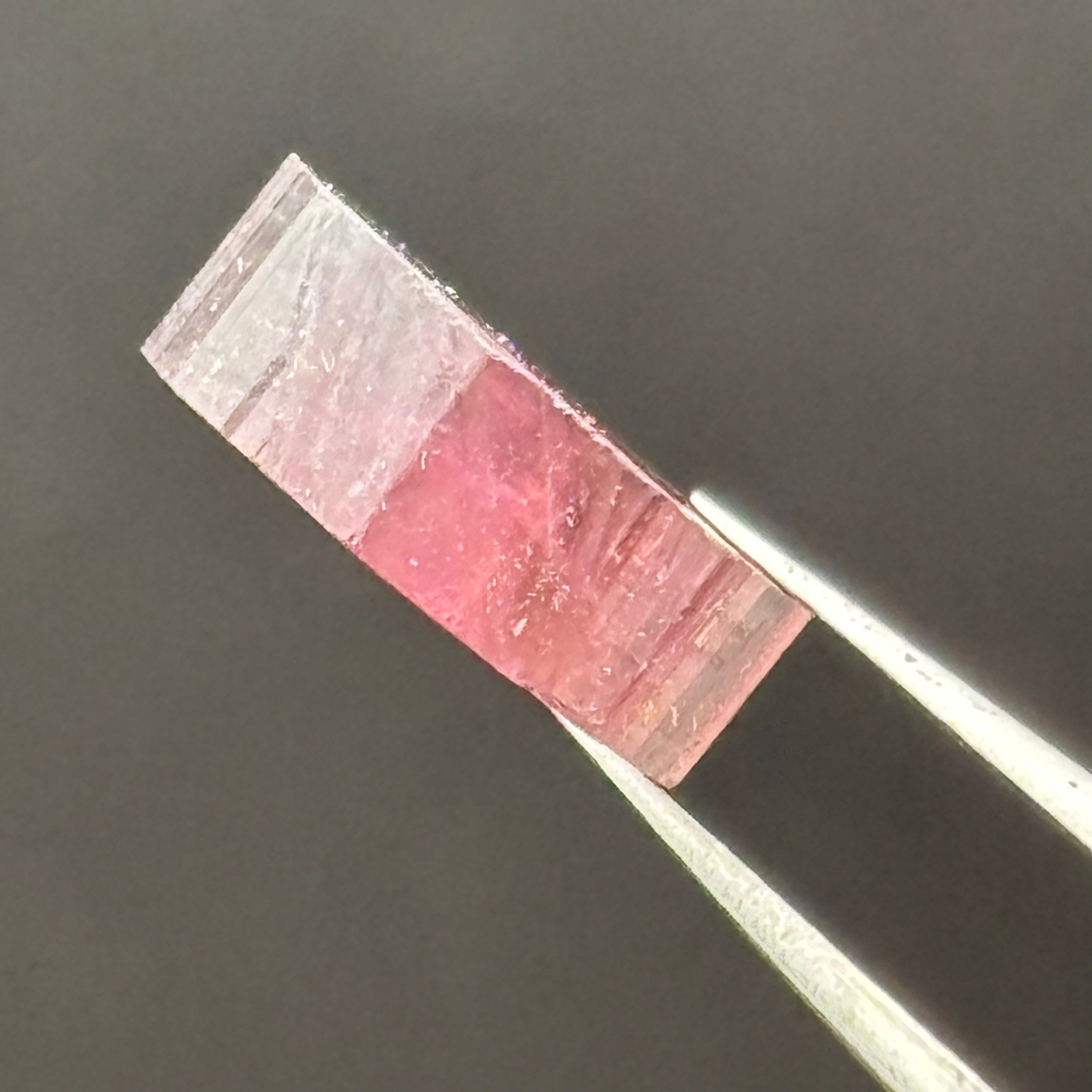 Watermelon Tourmaline Cross-Section - 105