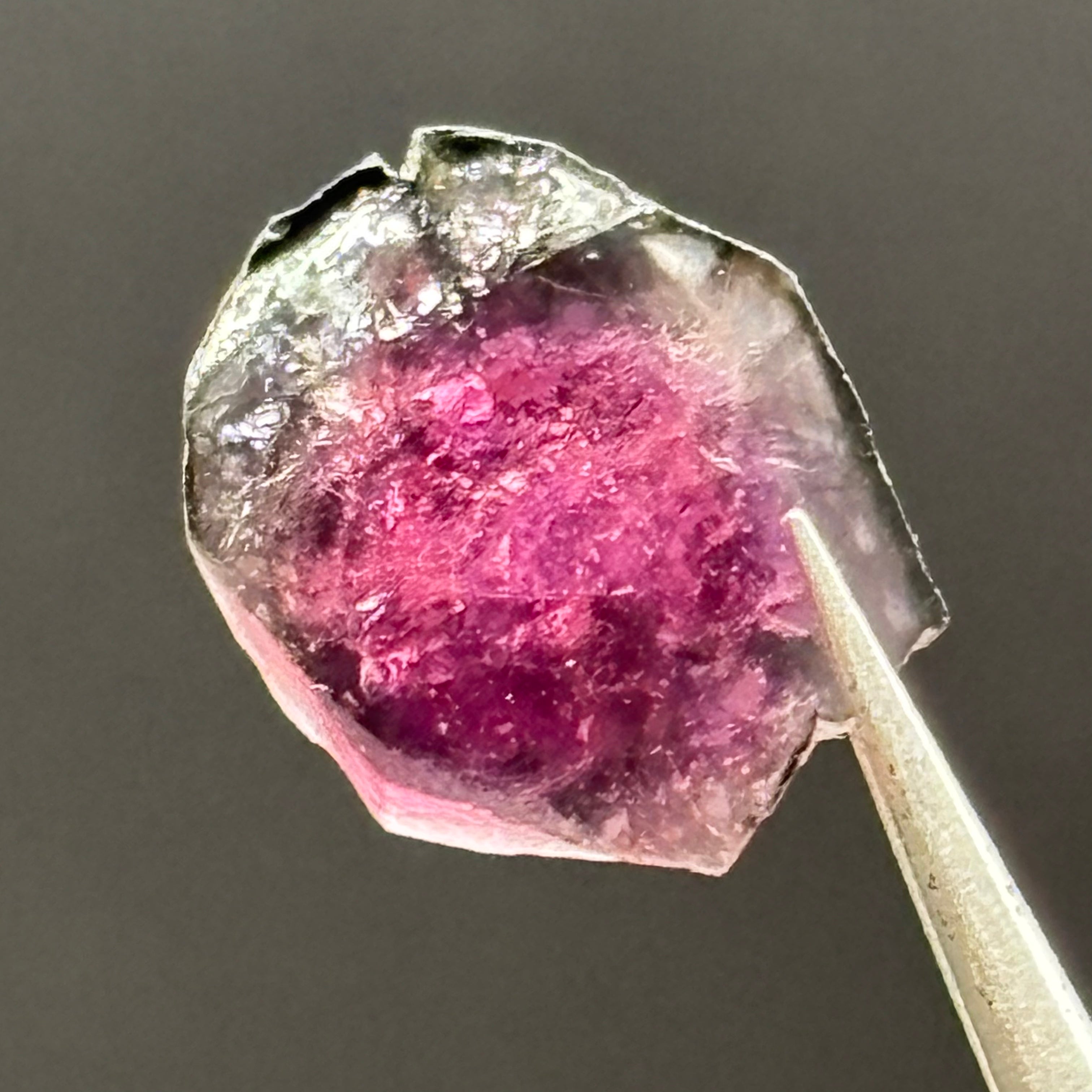 Watermelon Tourmaline Cross-Section - 105