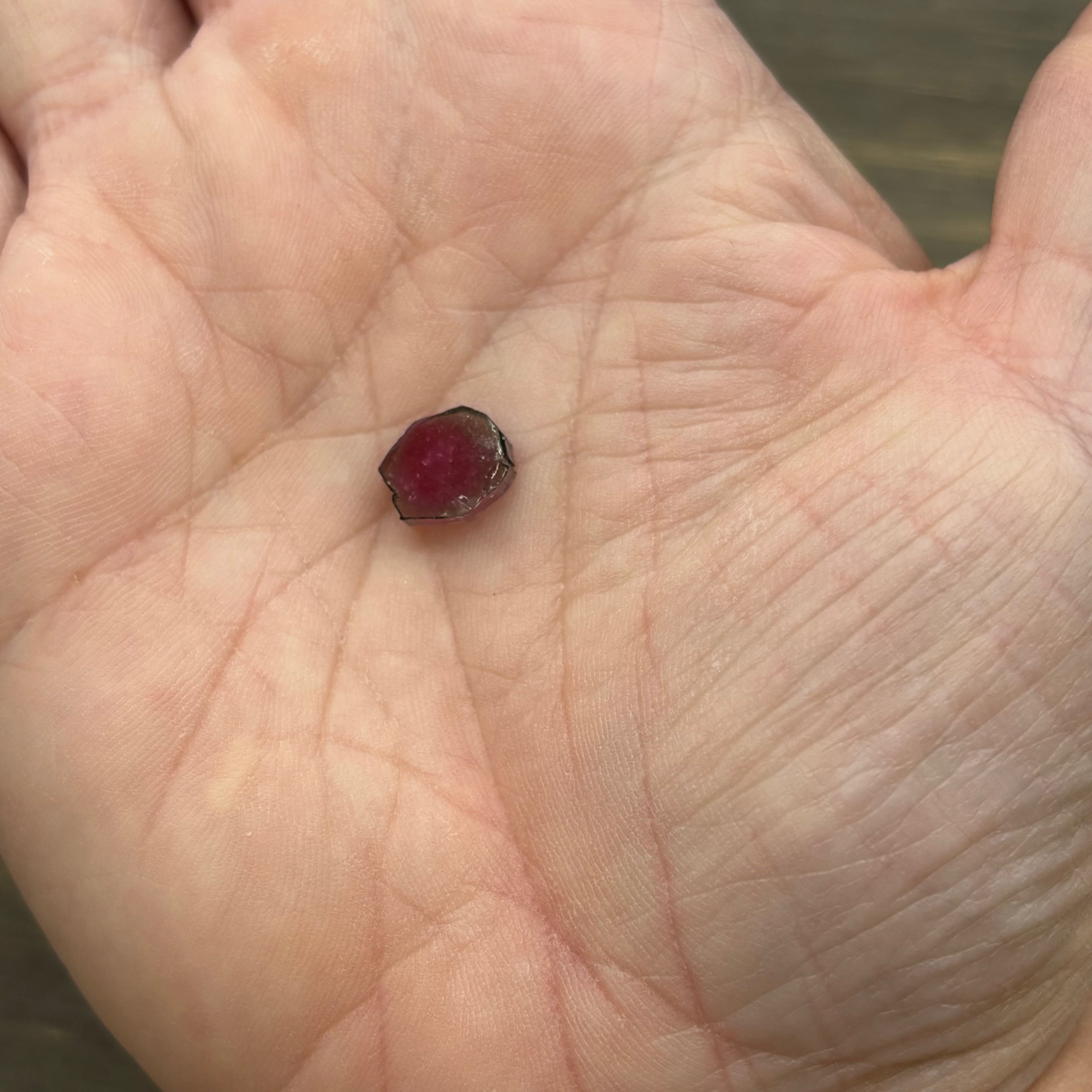 Watermelon Tourmaline Cross-Section - 105