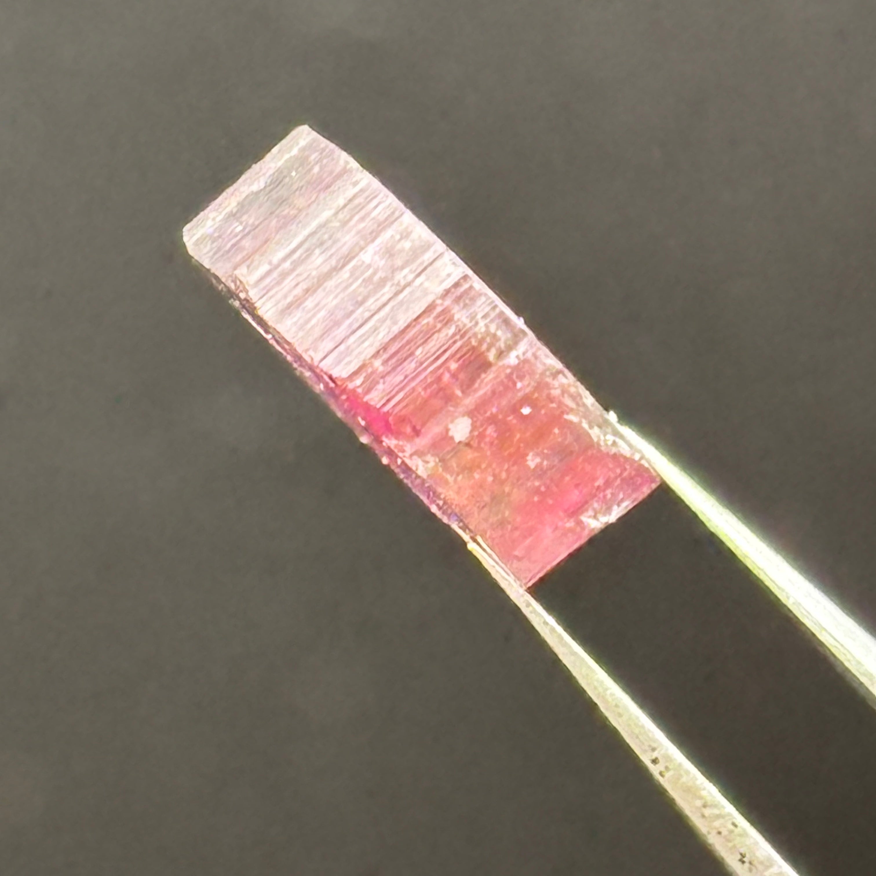 Watermelon Tourmaline Cross-Section - 106