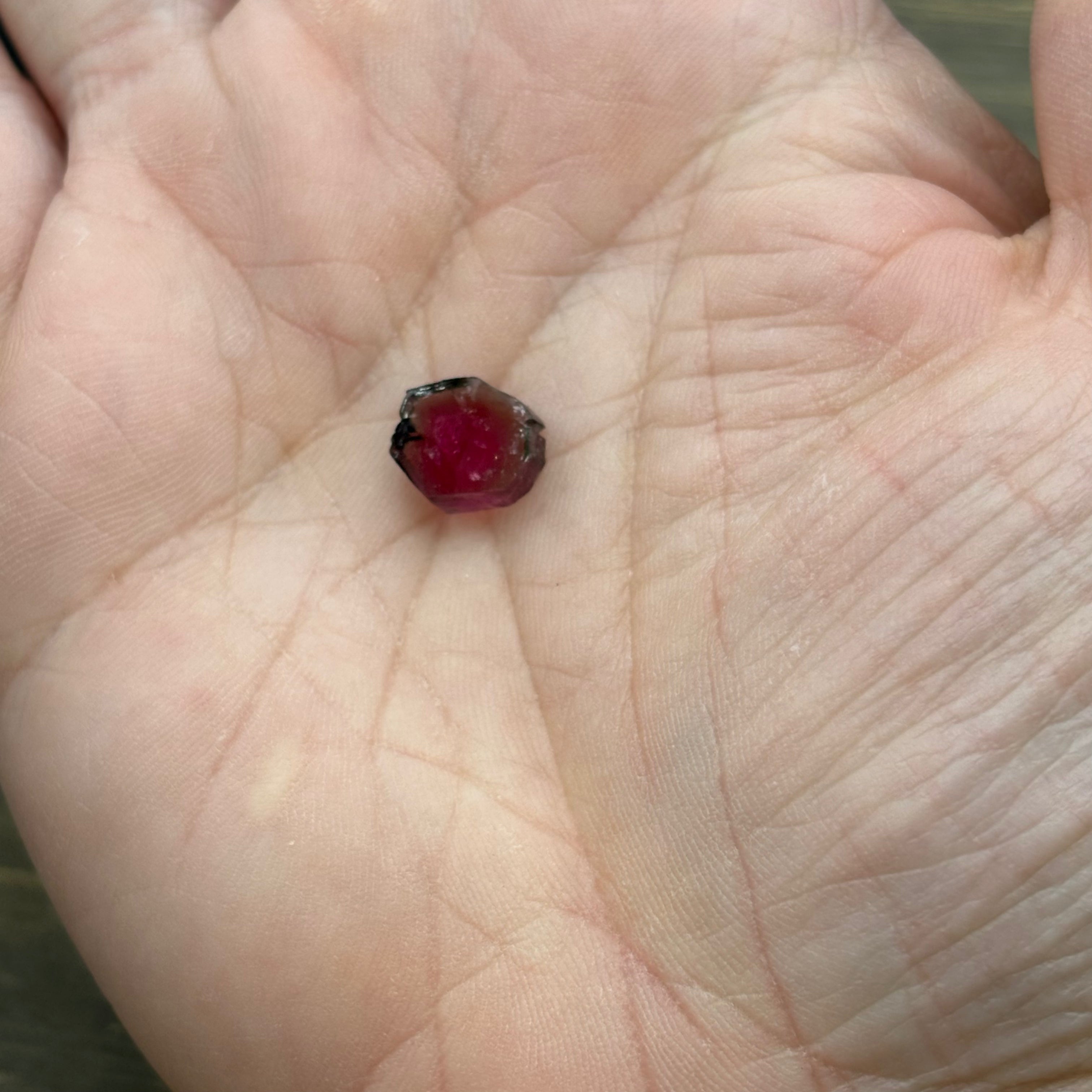 Watermelon Tourmaline Cross-Section - 106