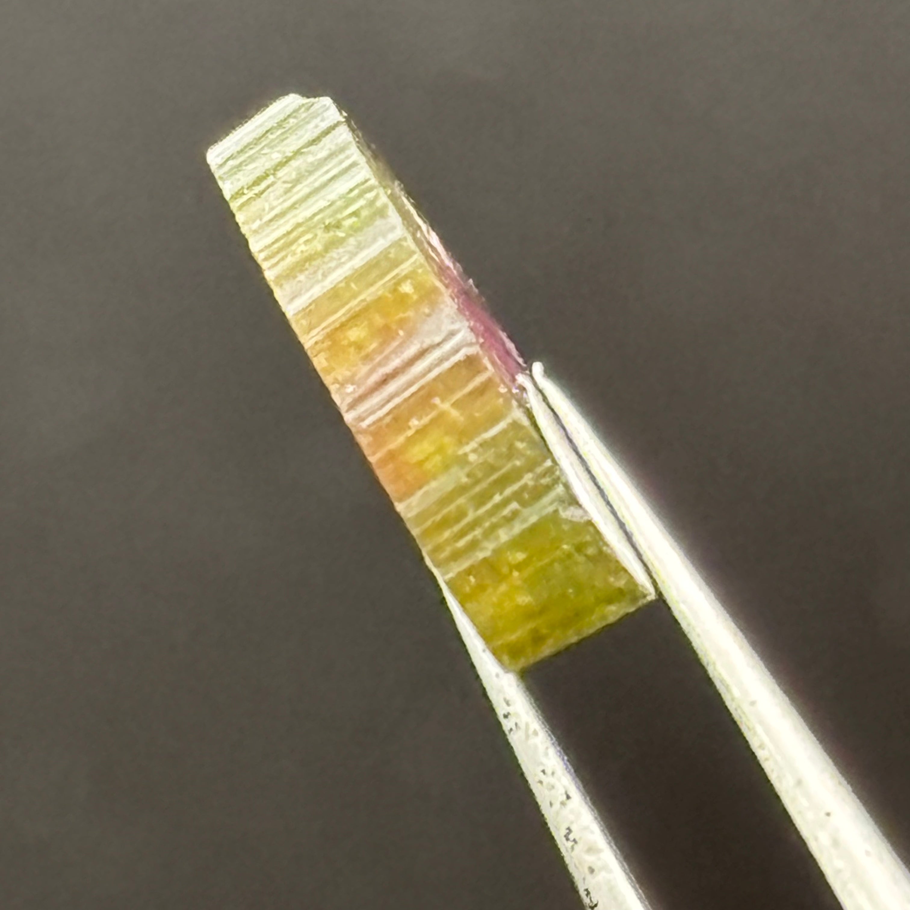 Watermelon Tourmaline Cross-Section - 107