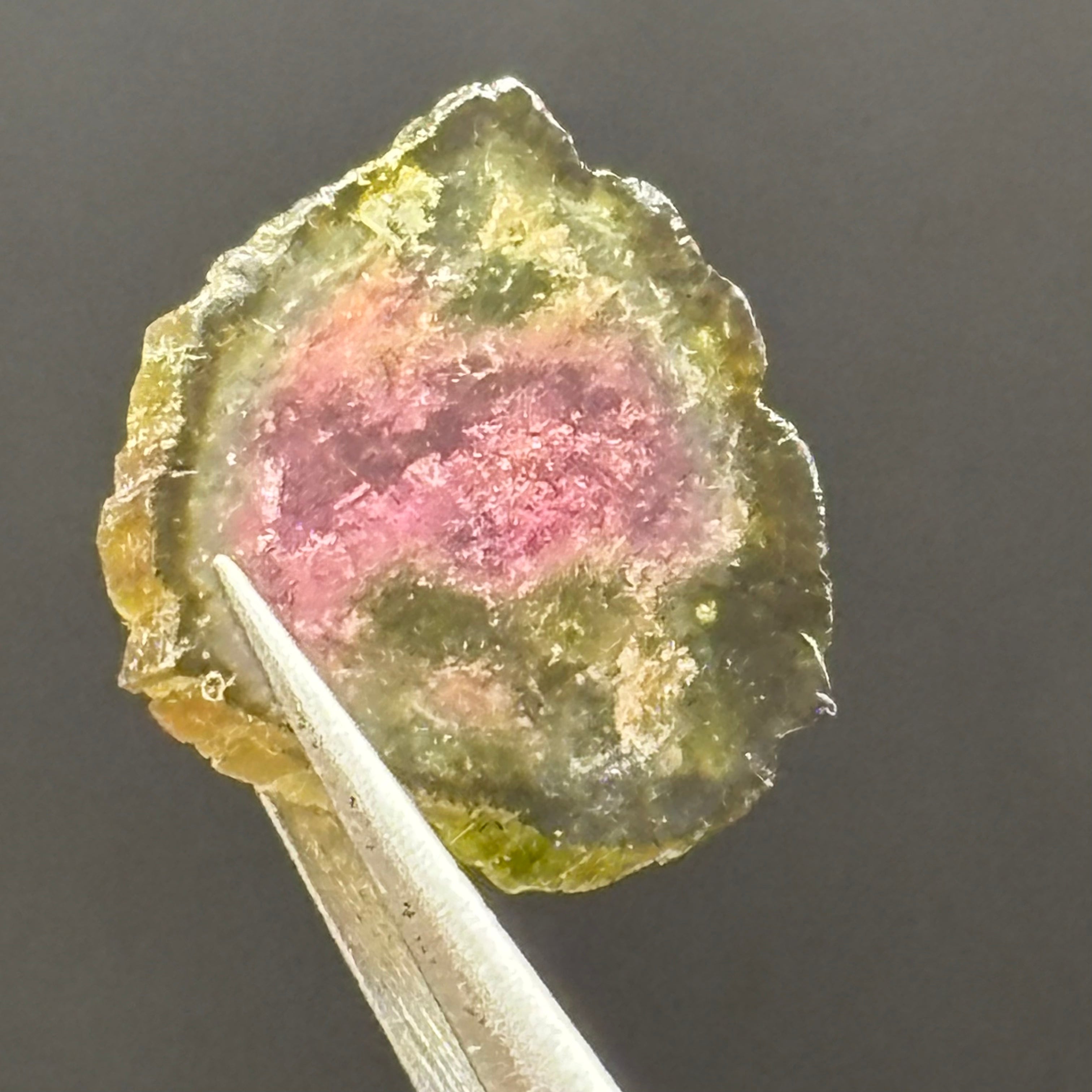 Watermelon Tourmaline Cross-Section - 107