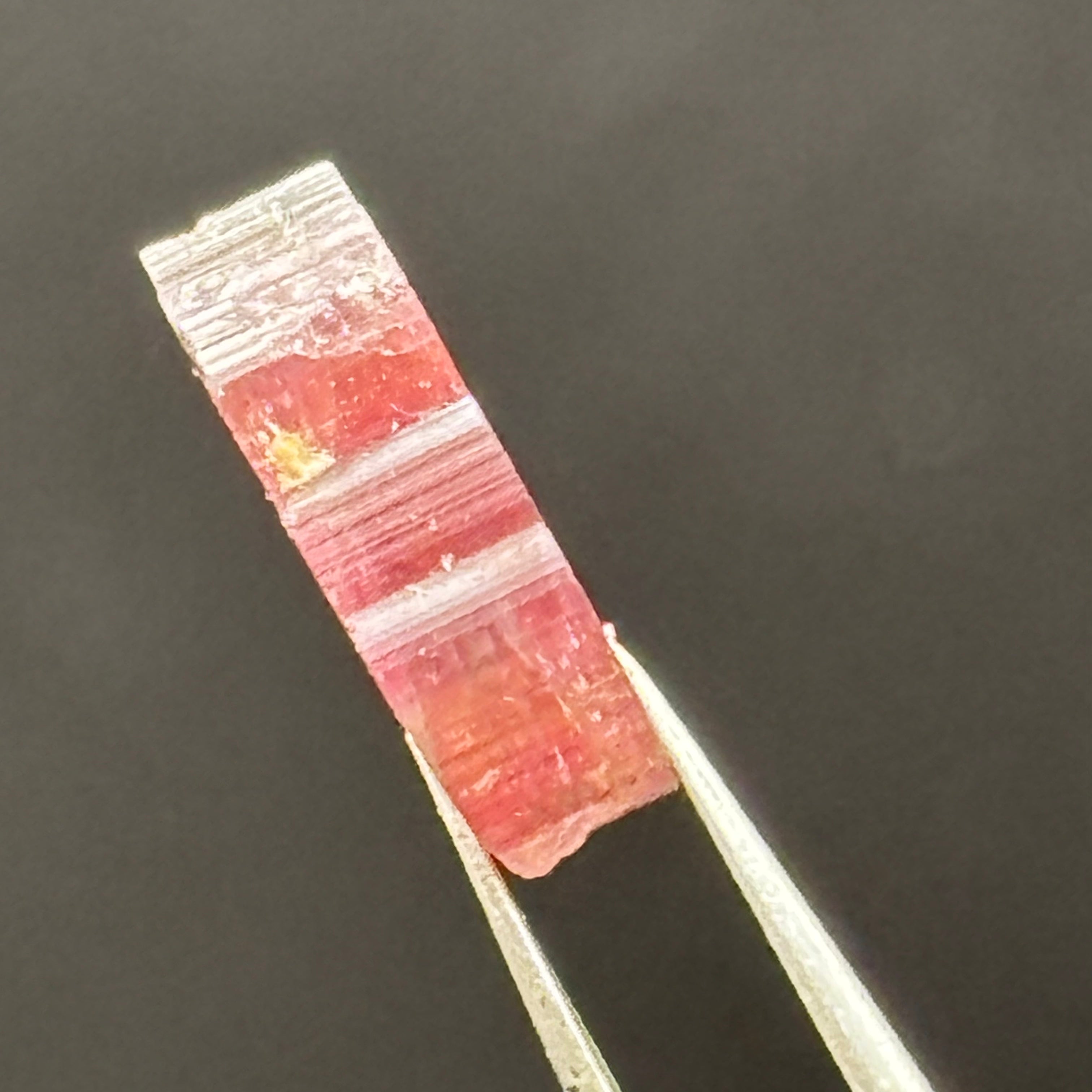 Watermelon Tourmaline Cross-Section - 108