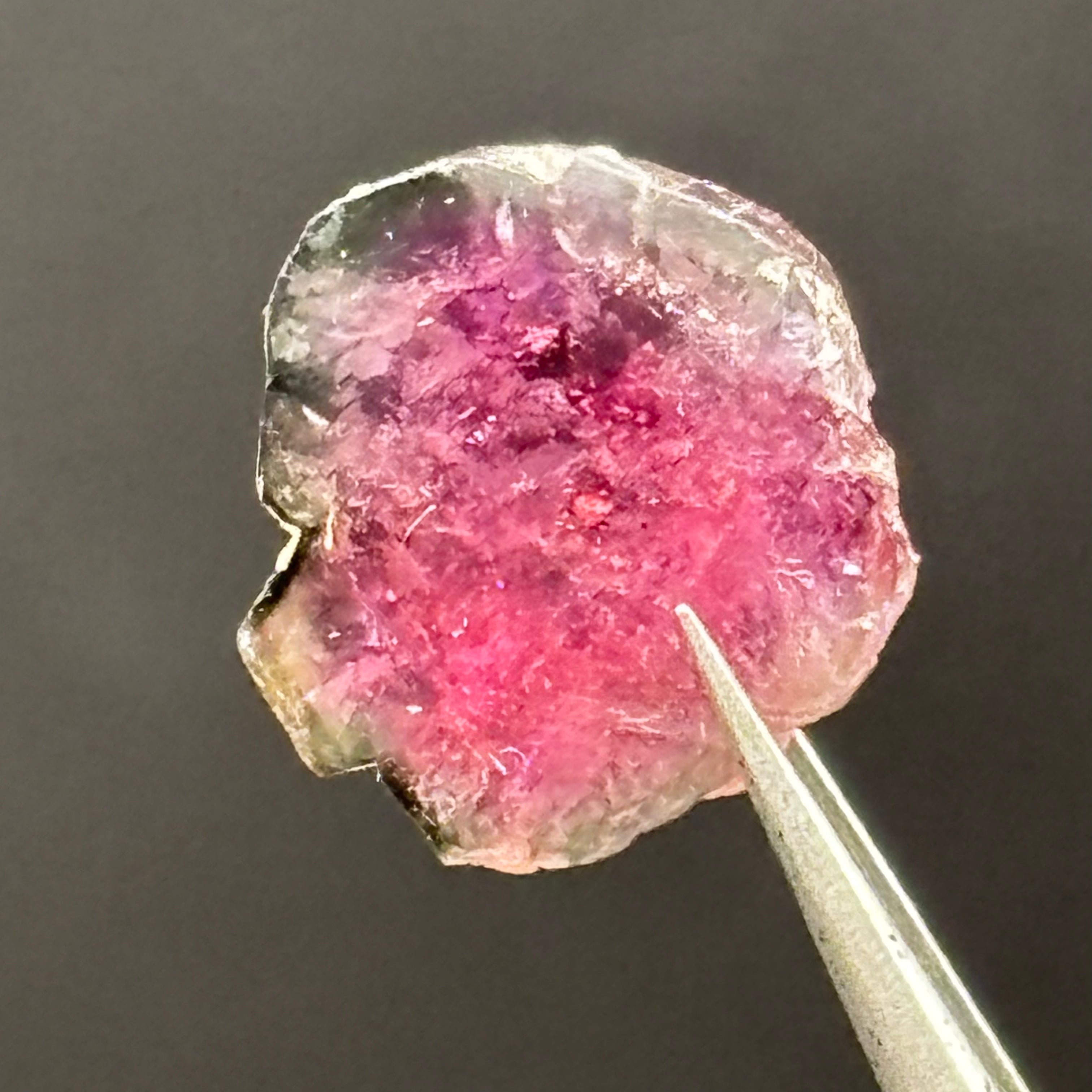 Watermelon Tourmaline Cross-Section - 108