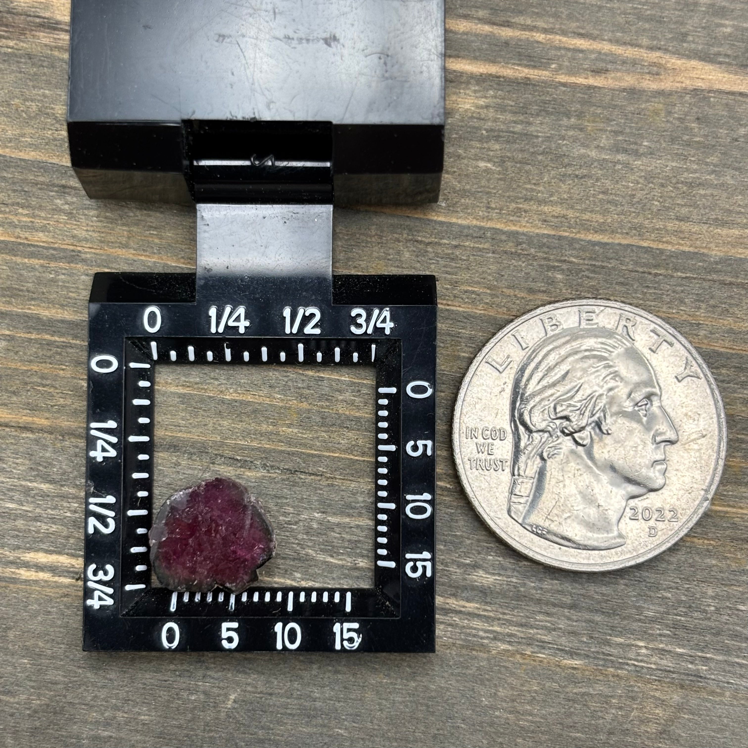 Watermelon Tourmaline Cross-Section - 108