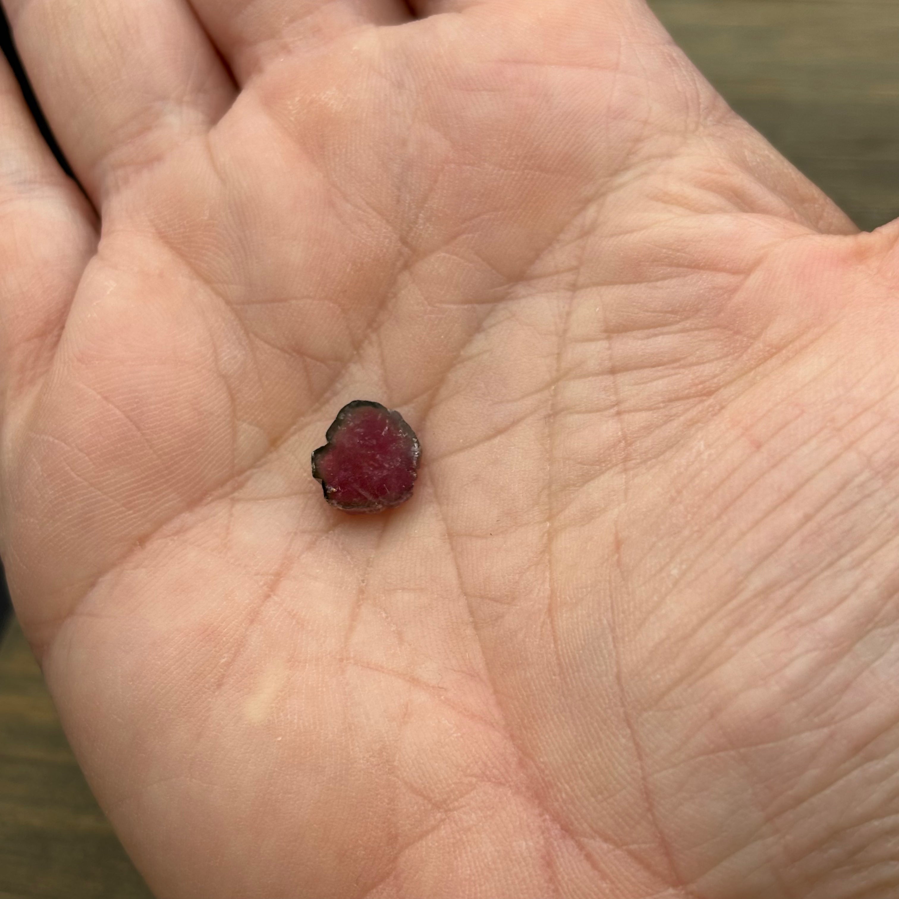 Watermelon Tourmaline Cross-Section - 108