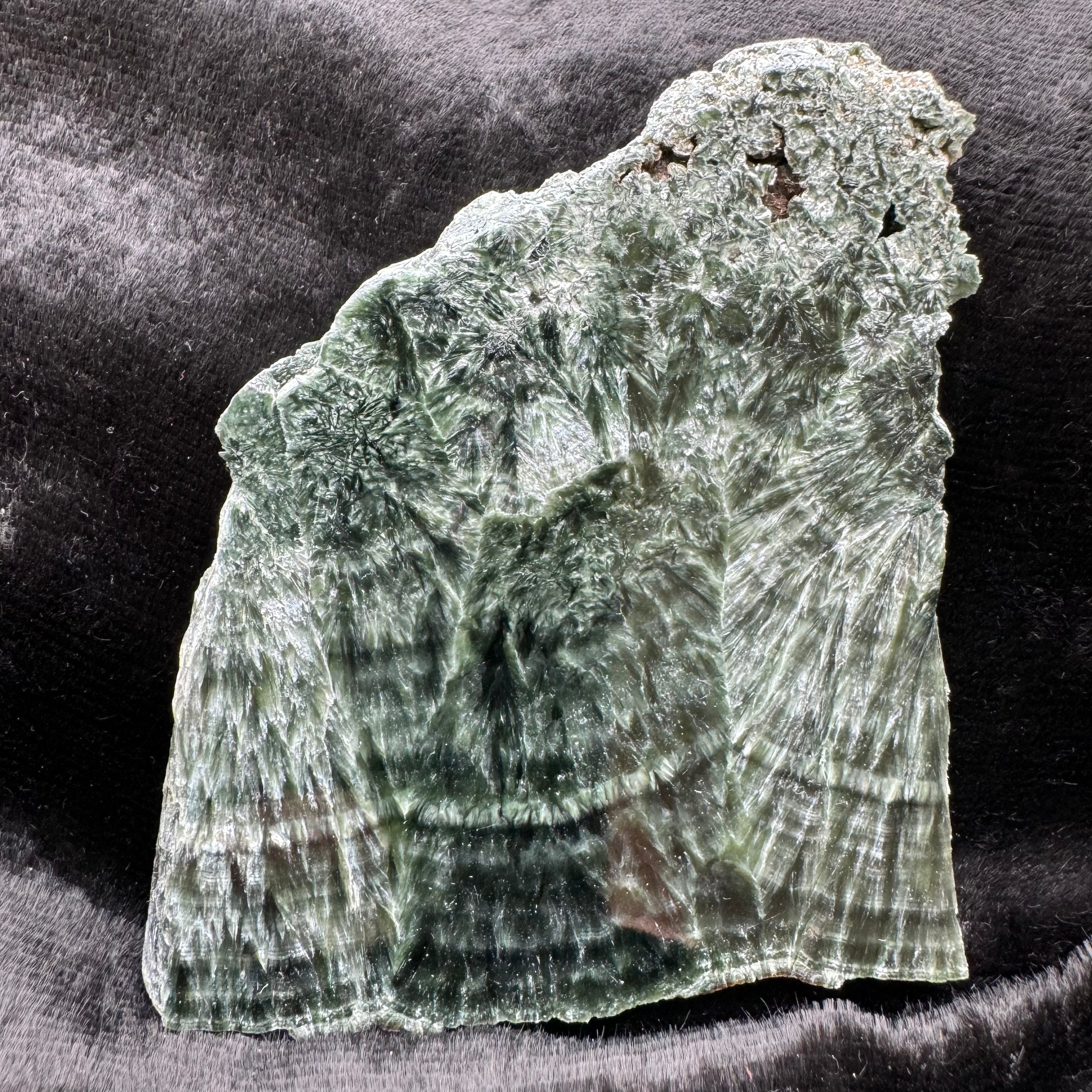 Seraphinite - 016