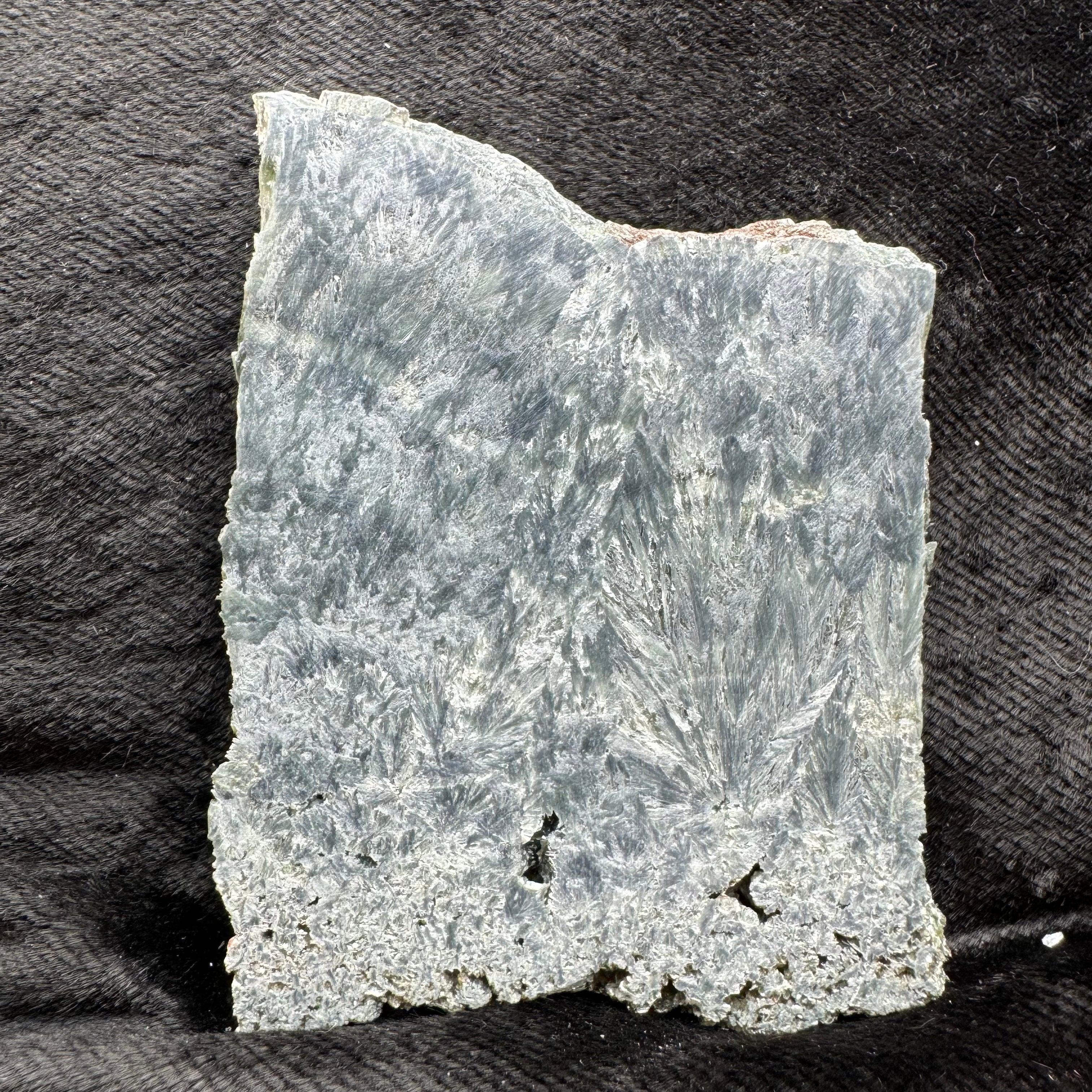 Seraphinite - 020