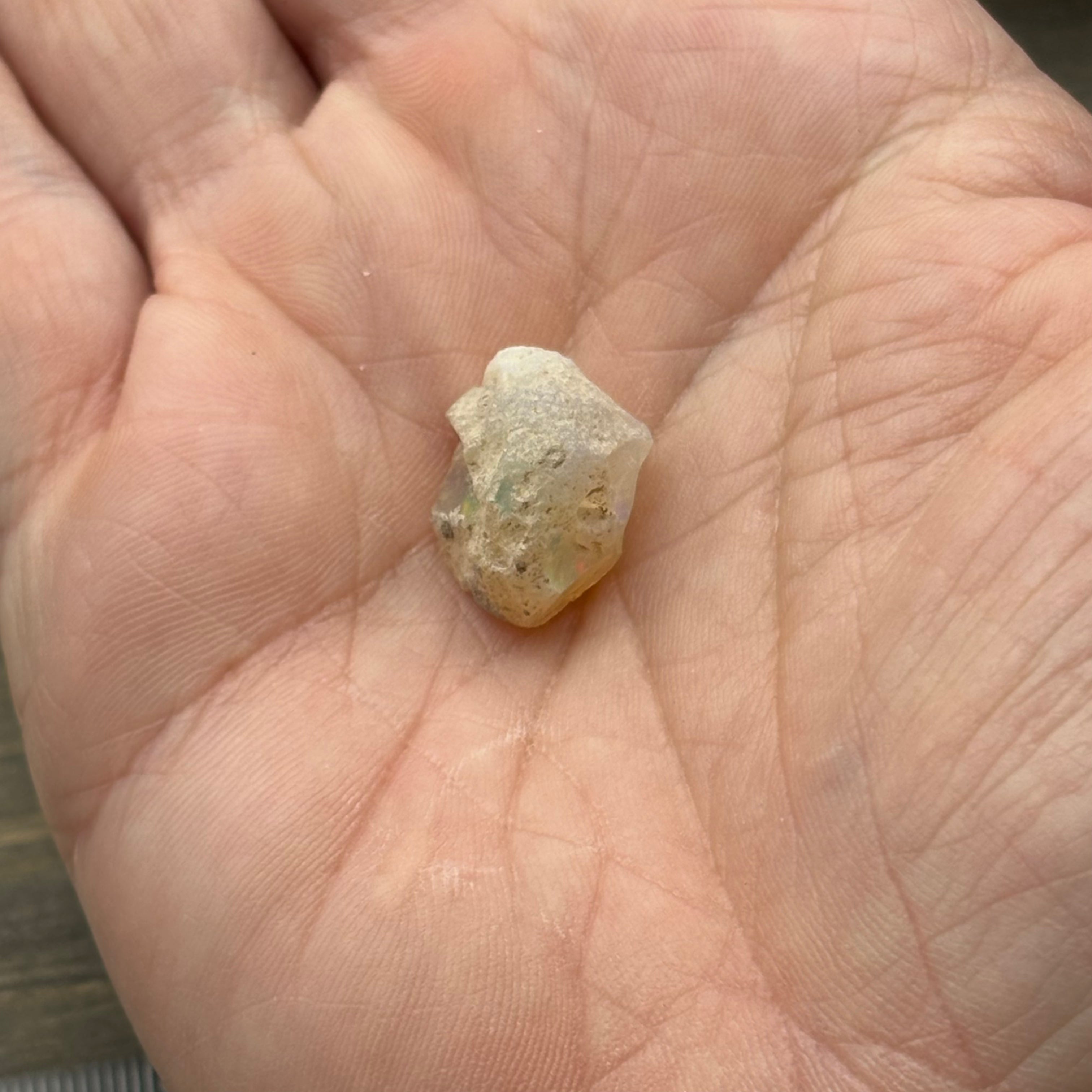 Welo Opal - 224