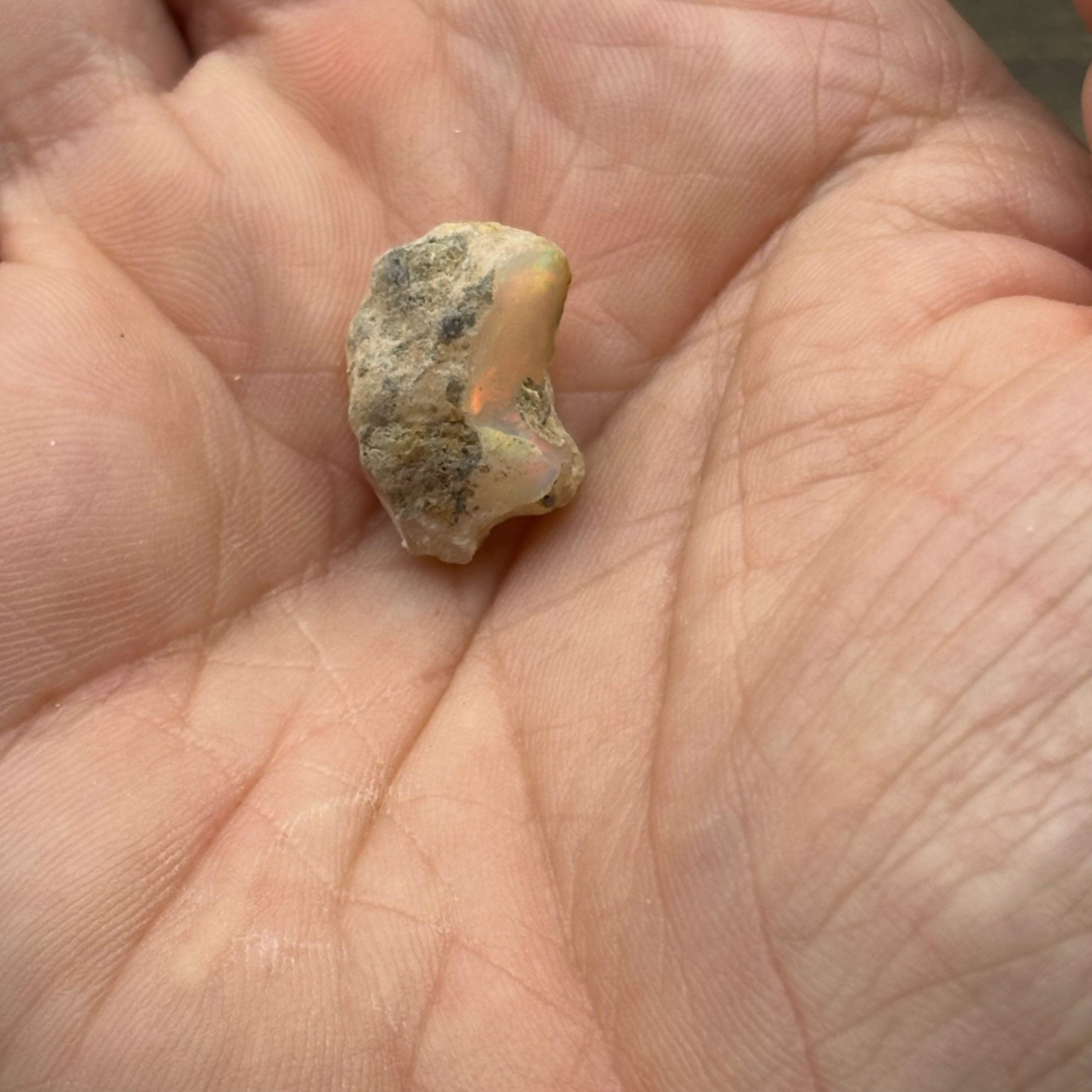 Welo Opal - 227