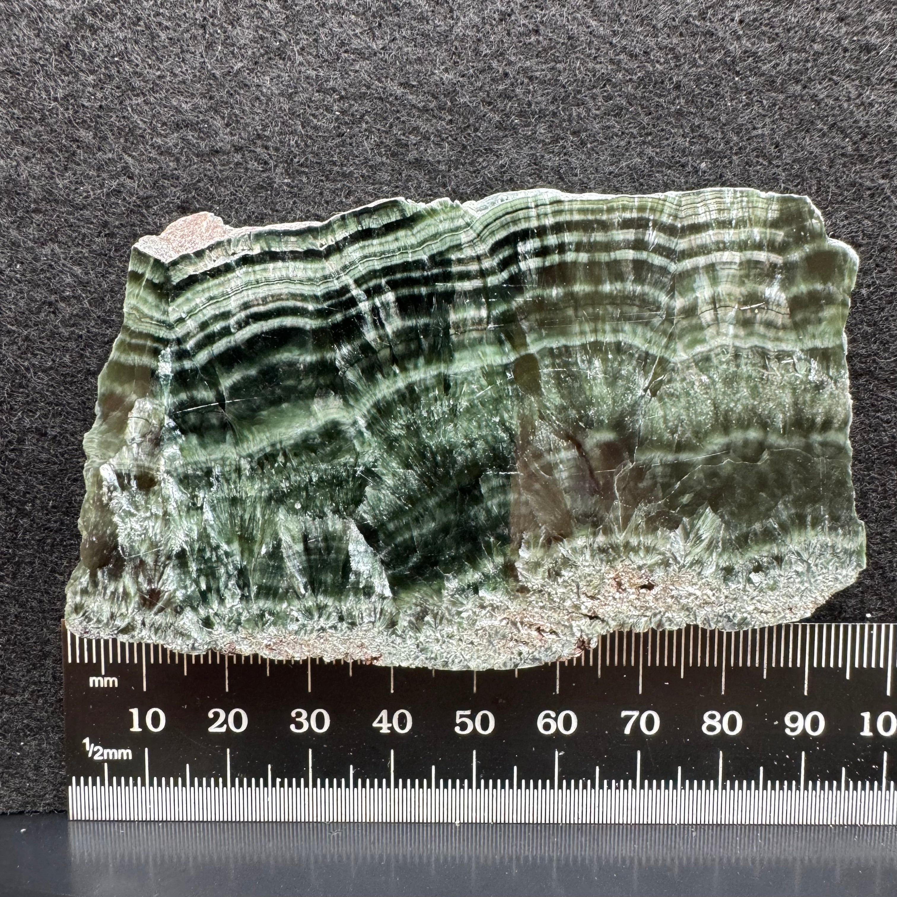 Seraphinite - 023