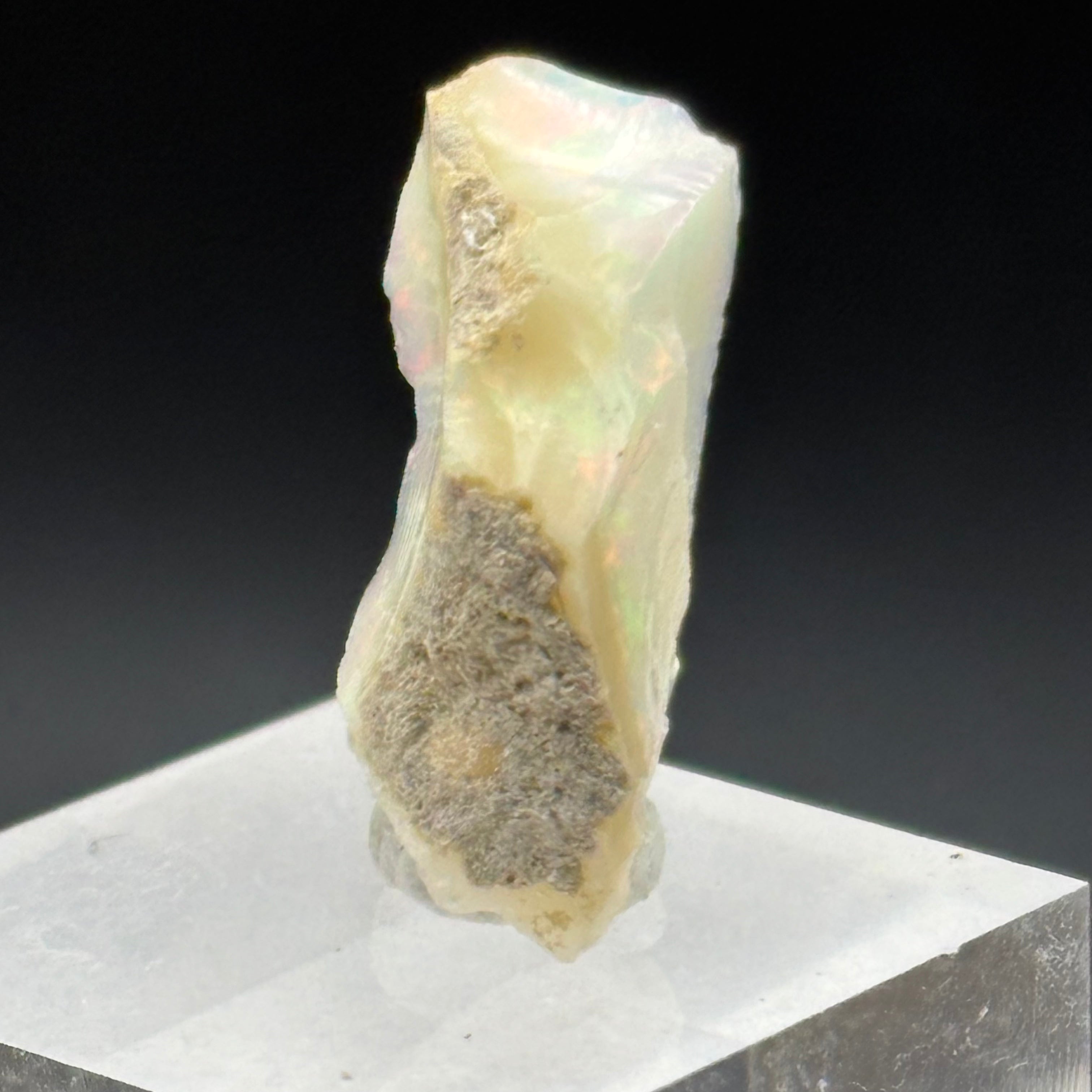 Welo Opal - 229