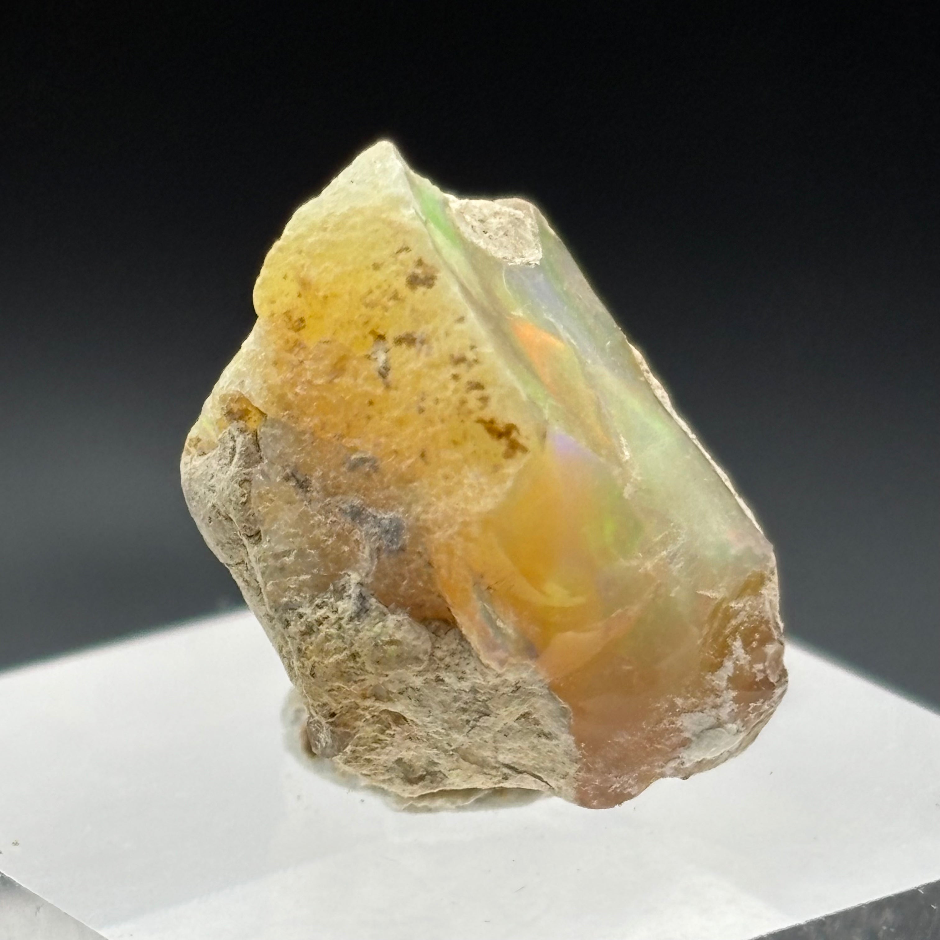 Welo Opal - 231