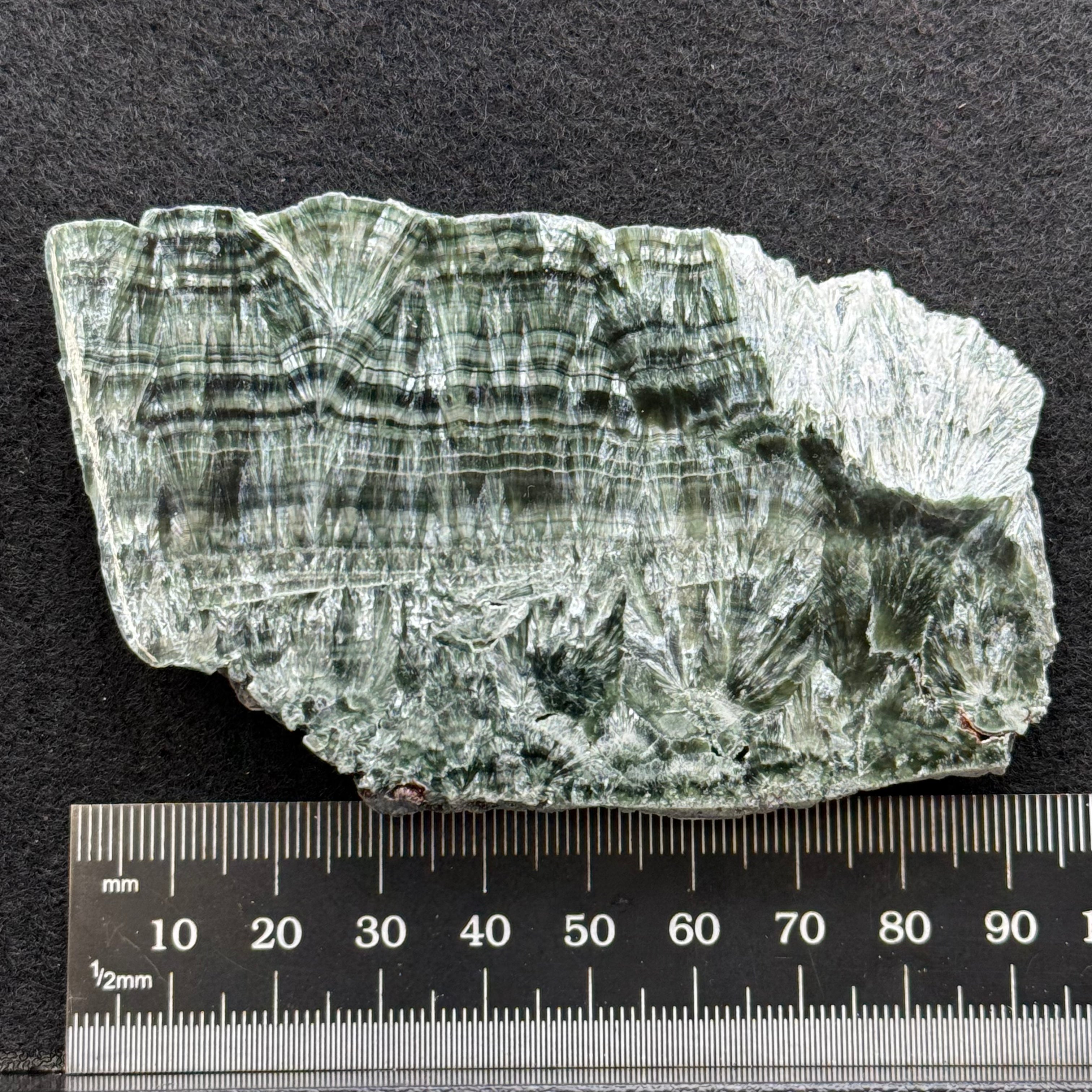 Seraphinite - 030