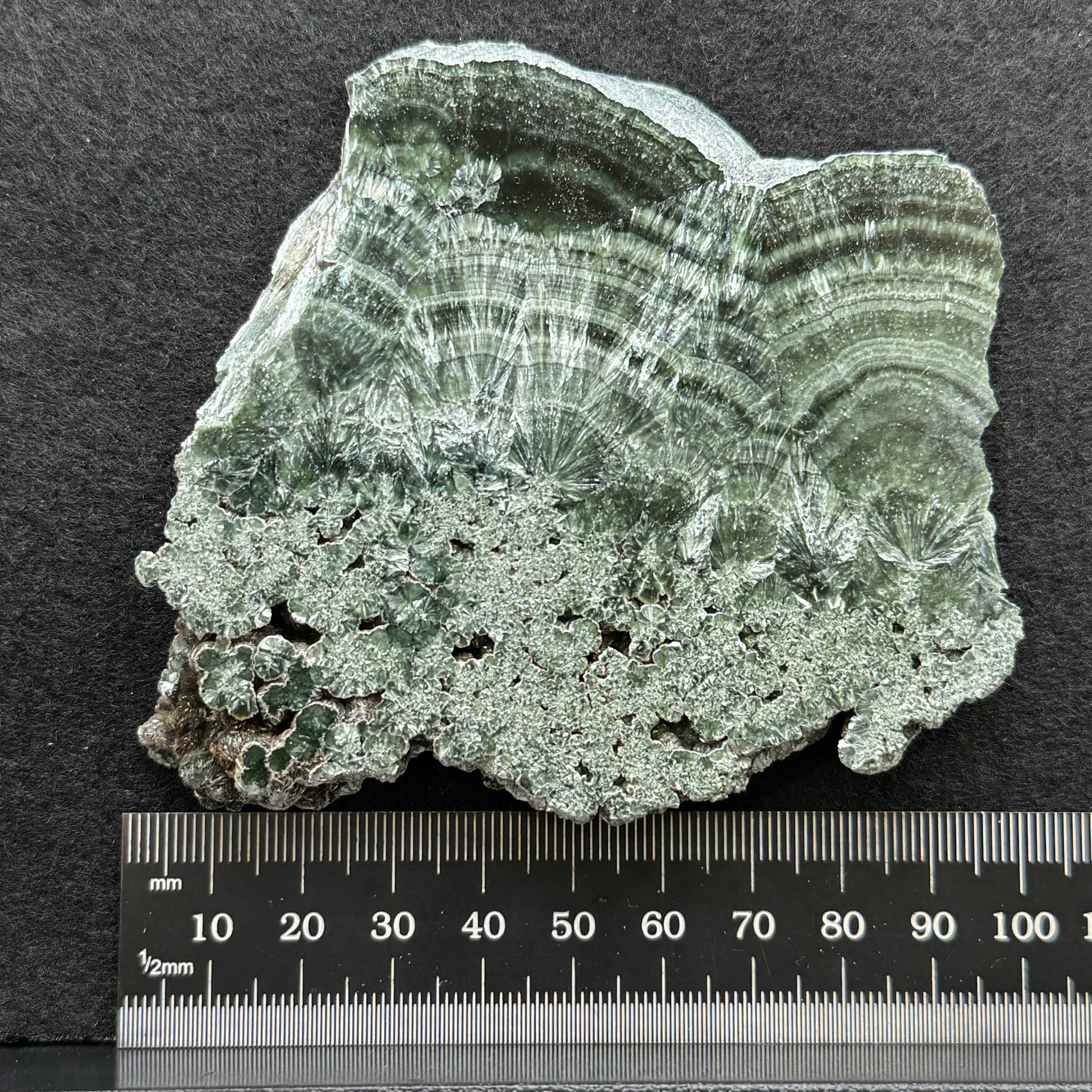 Seraphinite - 032