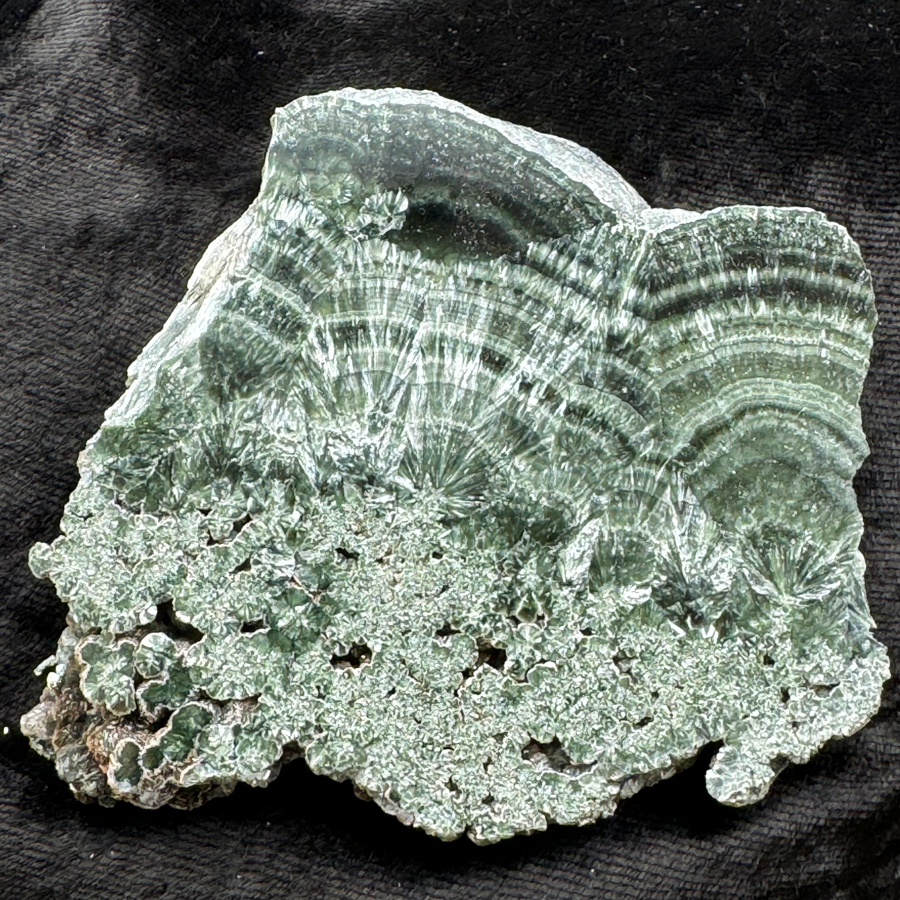 Seraphinite - 032