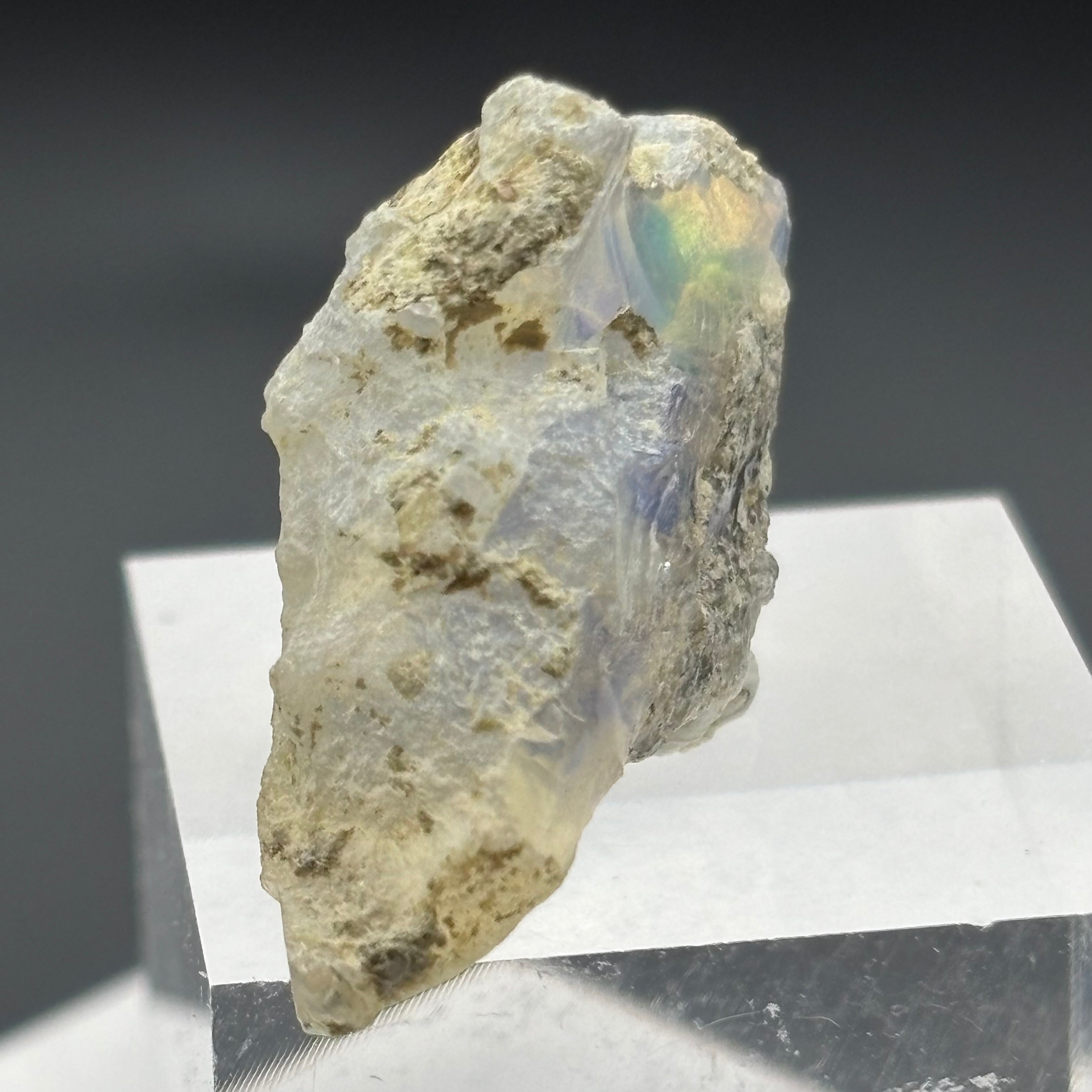 Welo Opal - 241