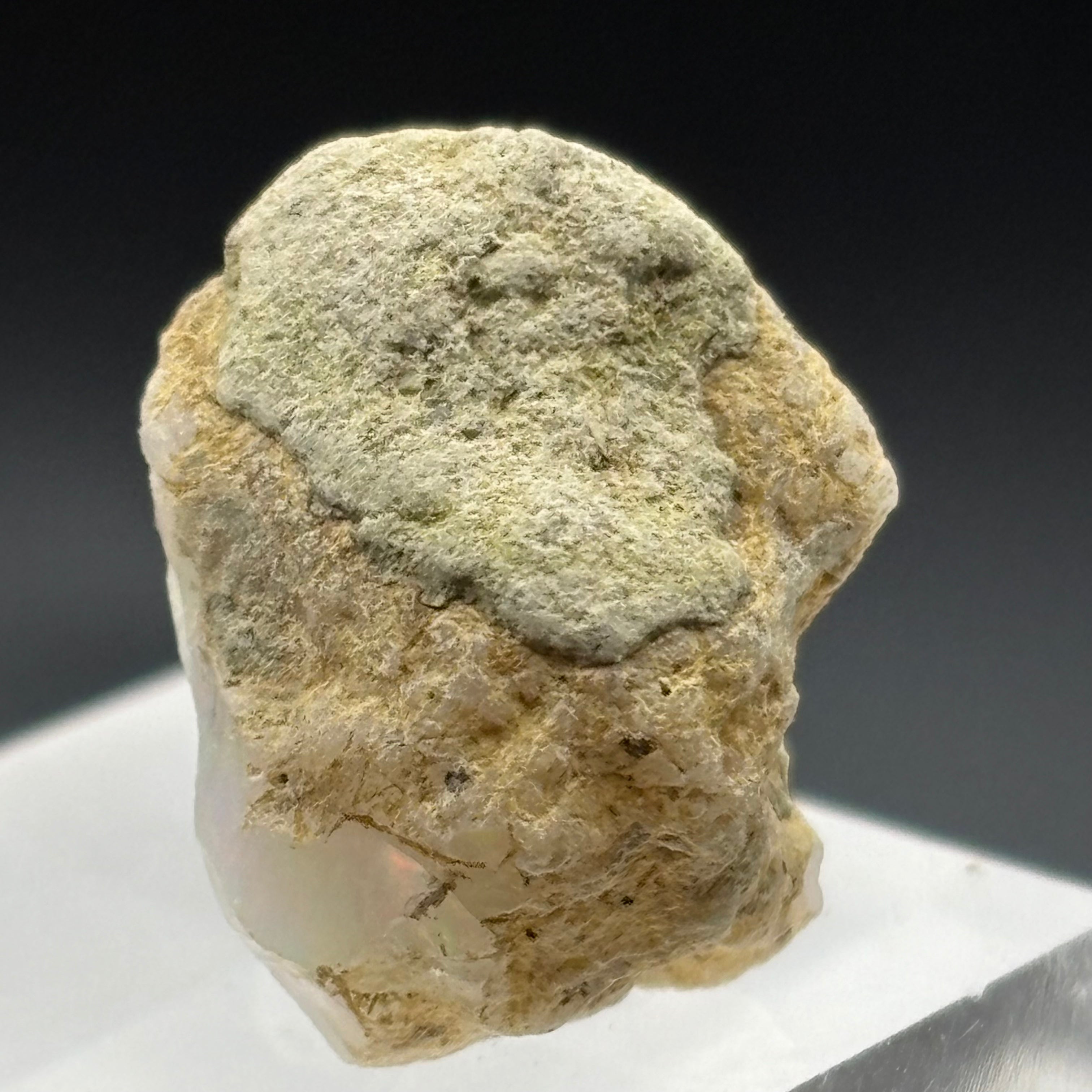 Welo Opal - 245