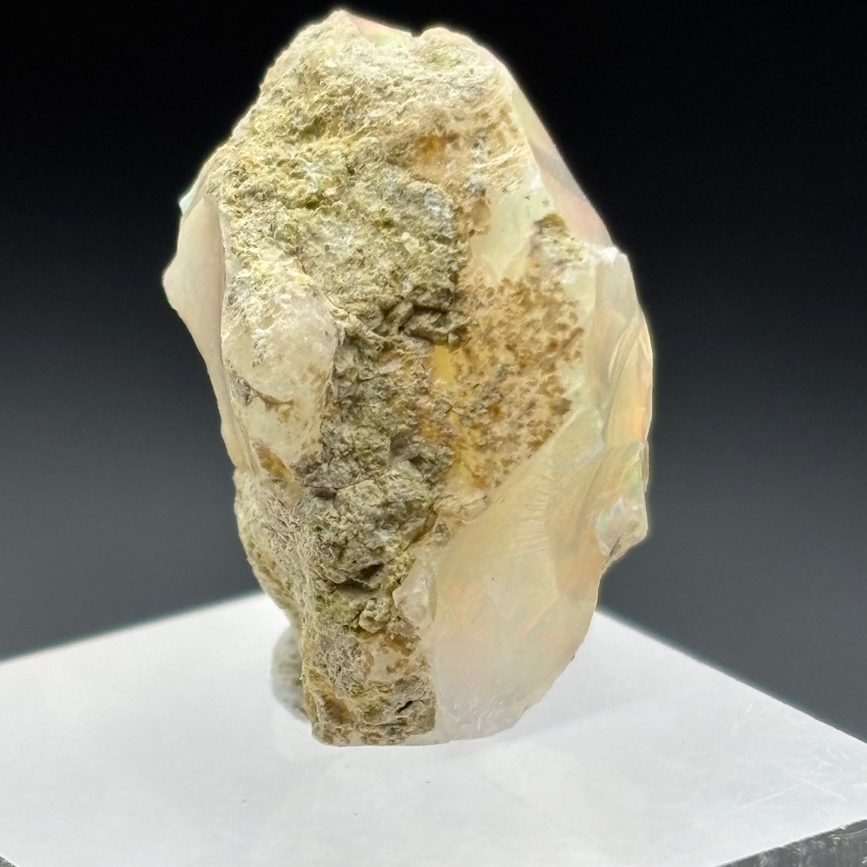Welo Opal - 249