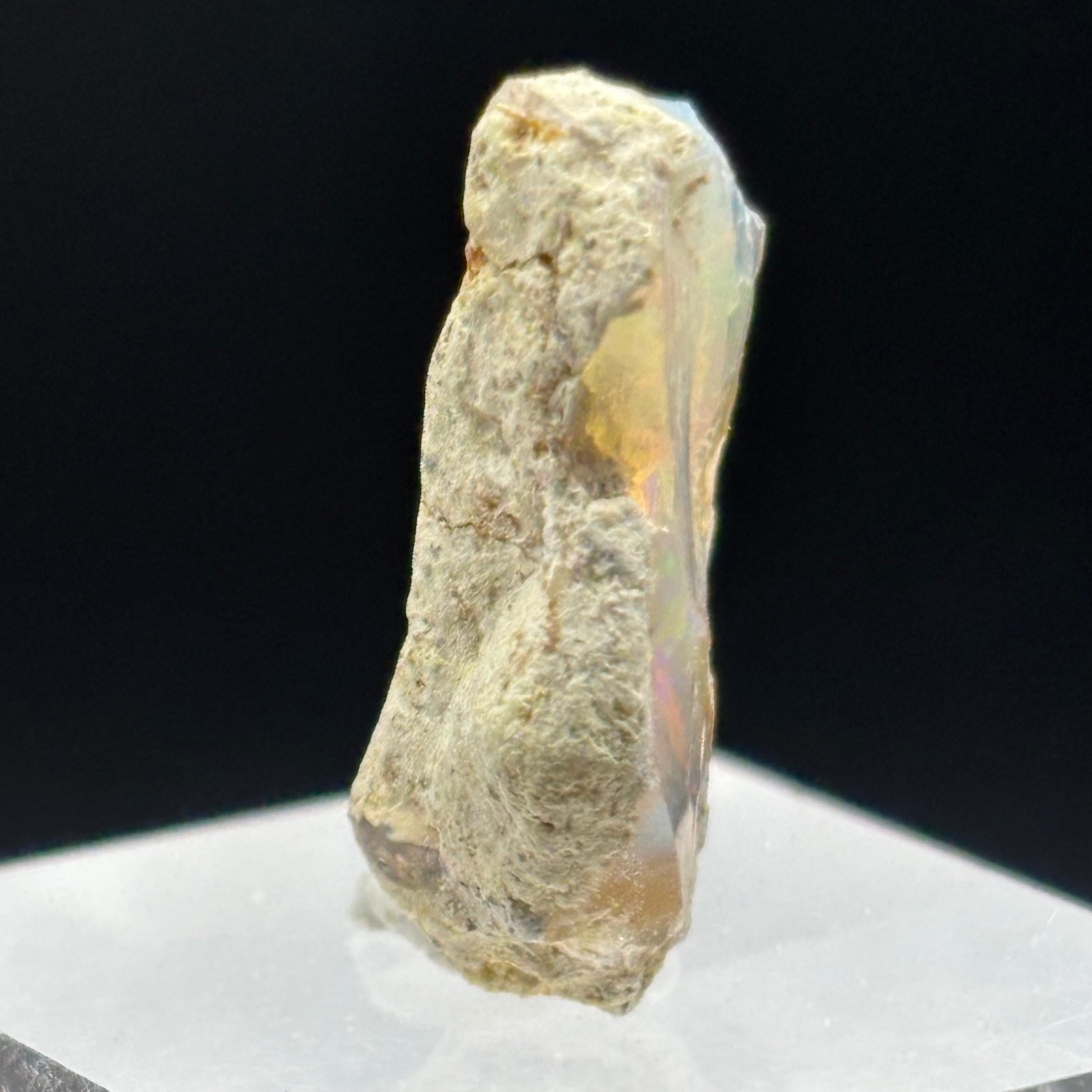 Welo Opal - 257