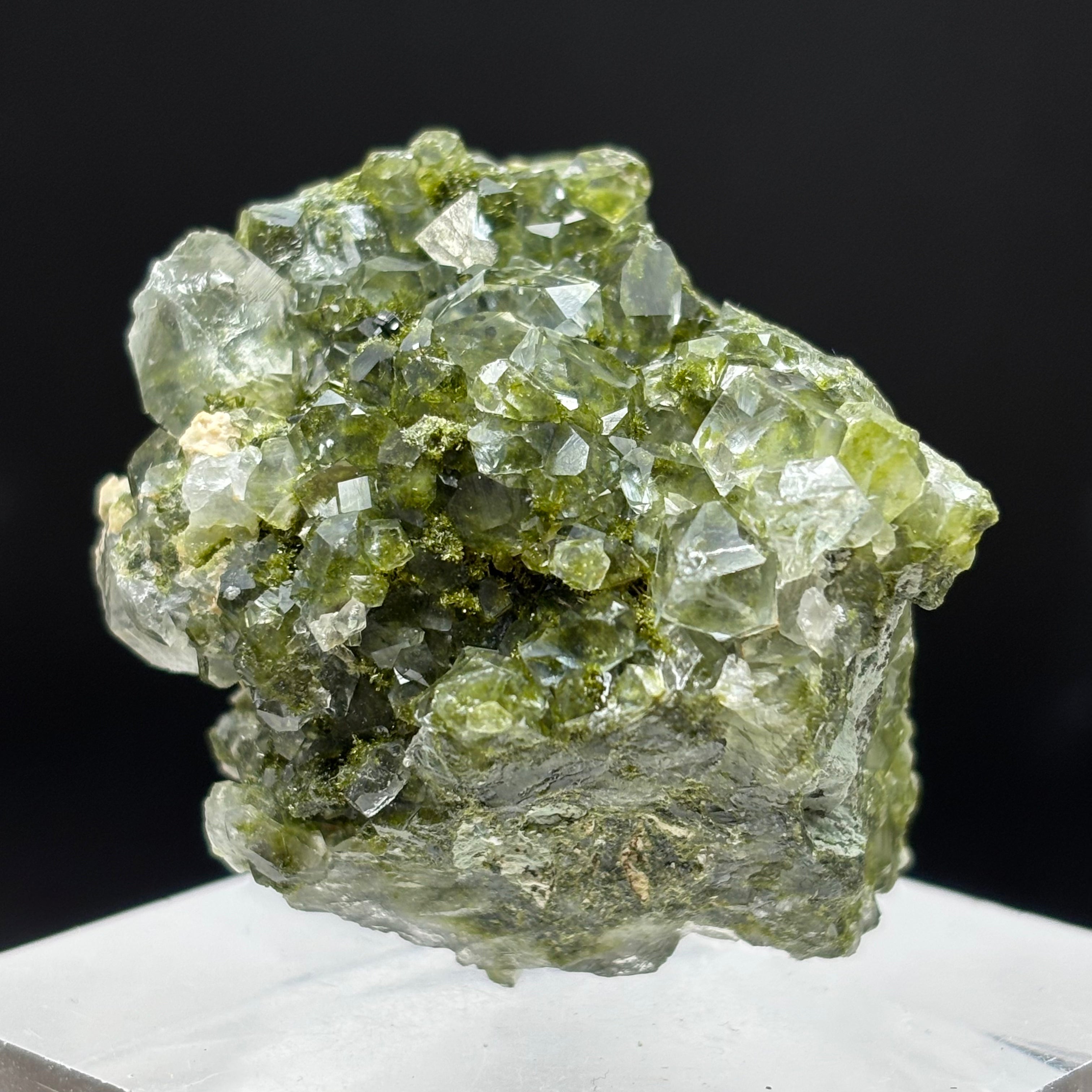 Epidote and Quartz - 238