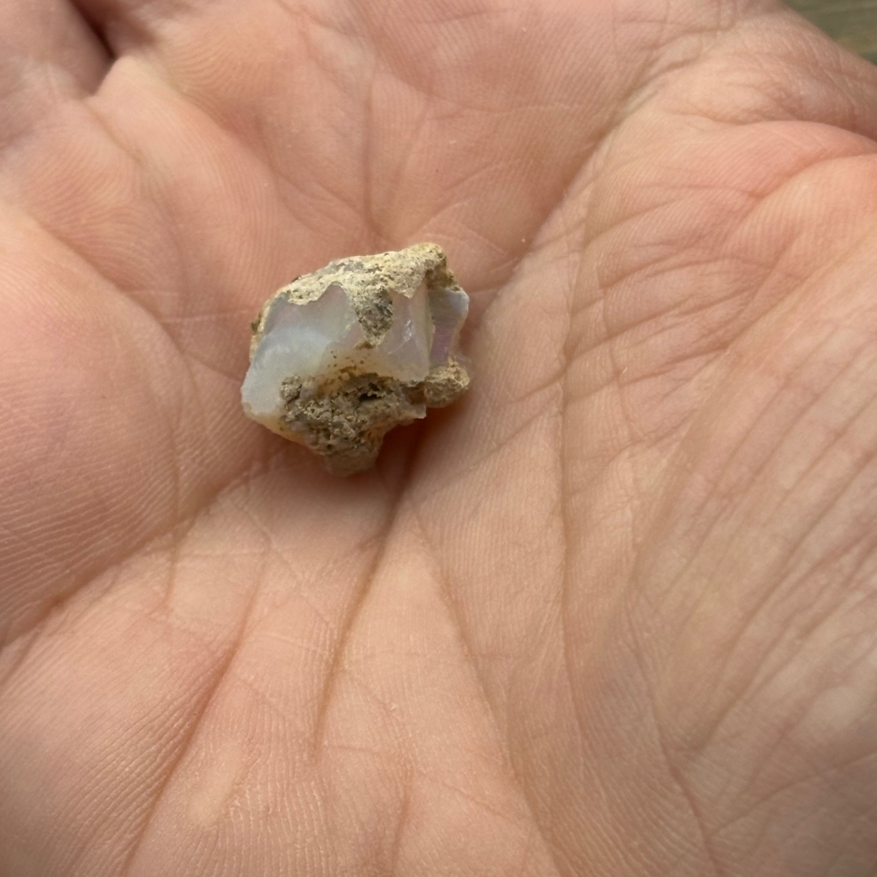 Welo Opal - 266