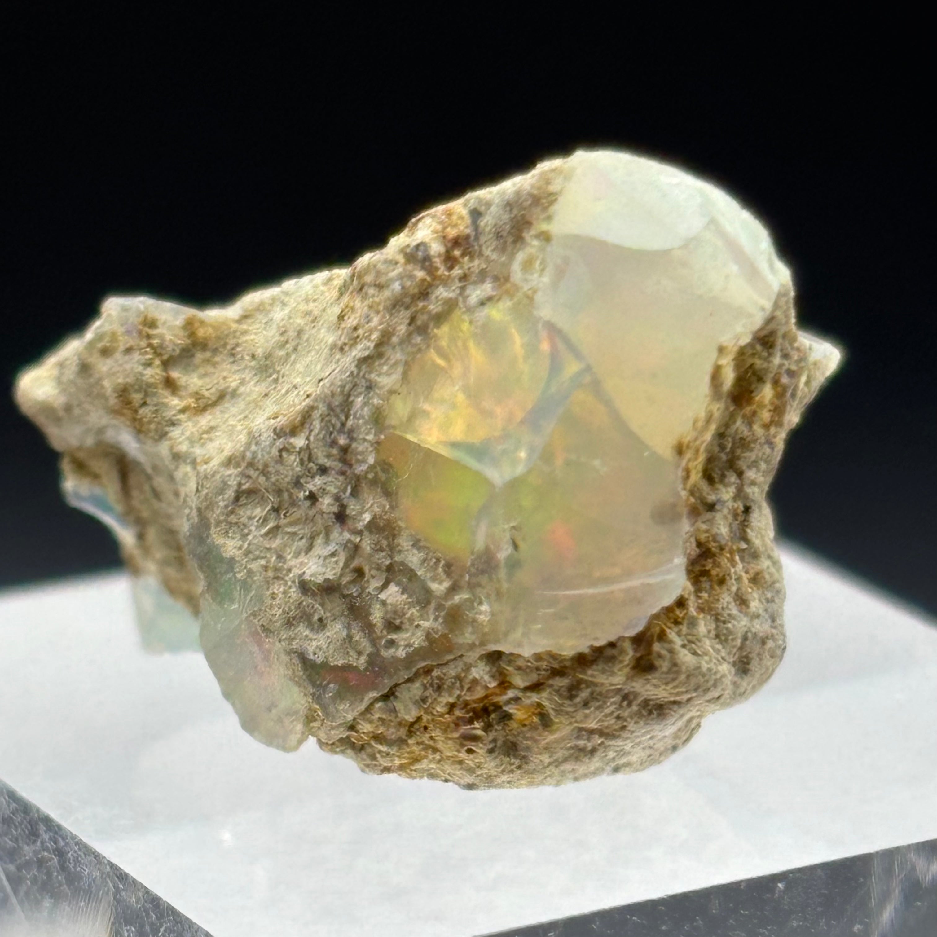 Welo Opal - 270