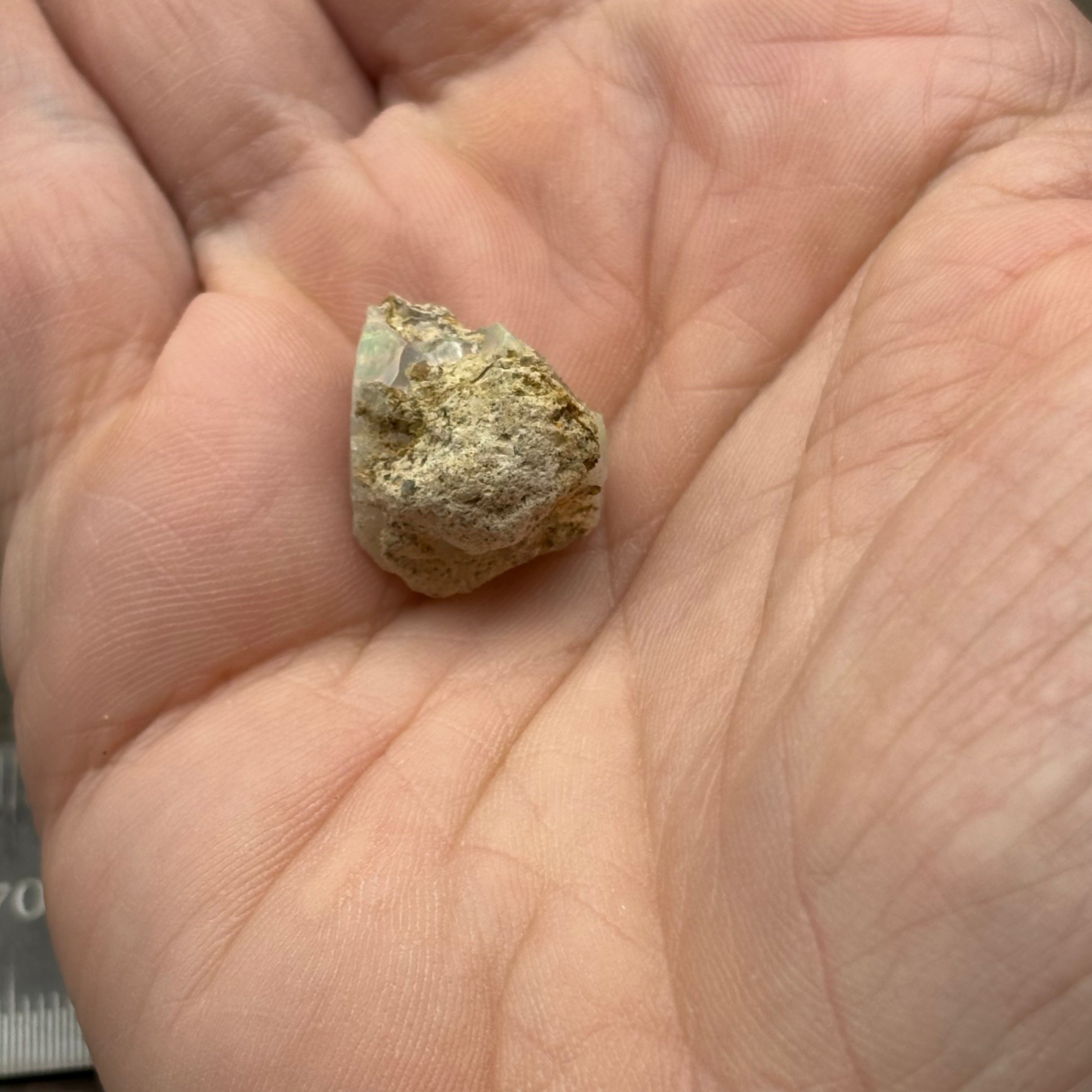 Welo Opal - 270