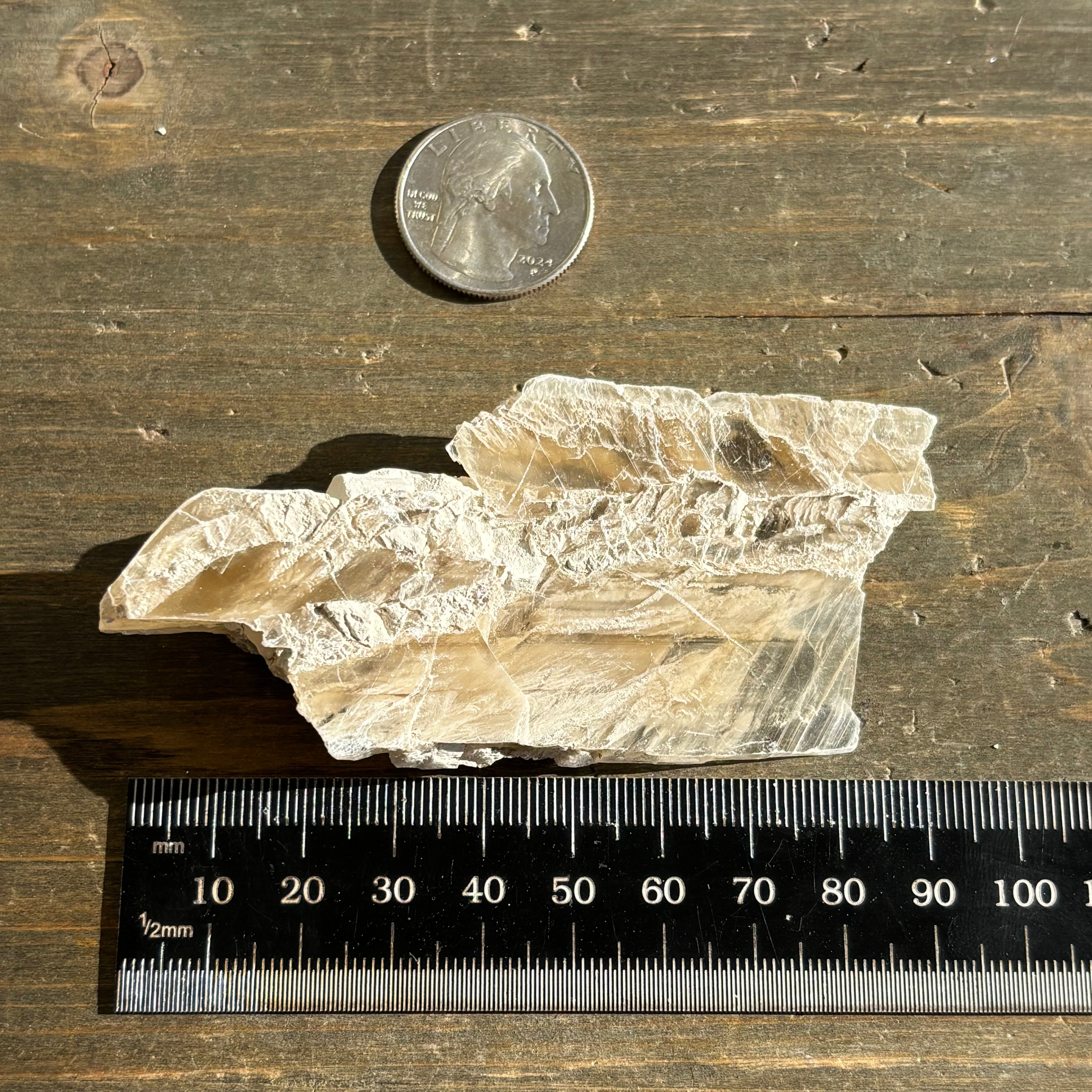 Champagne Selenite - 015