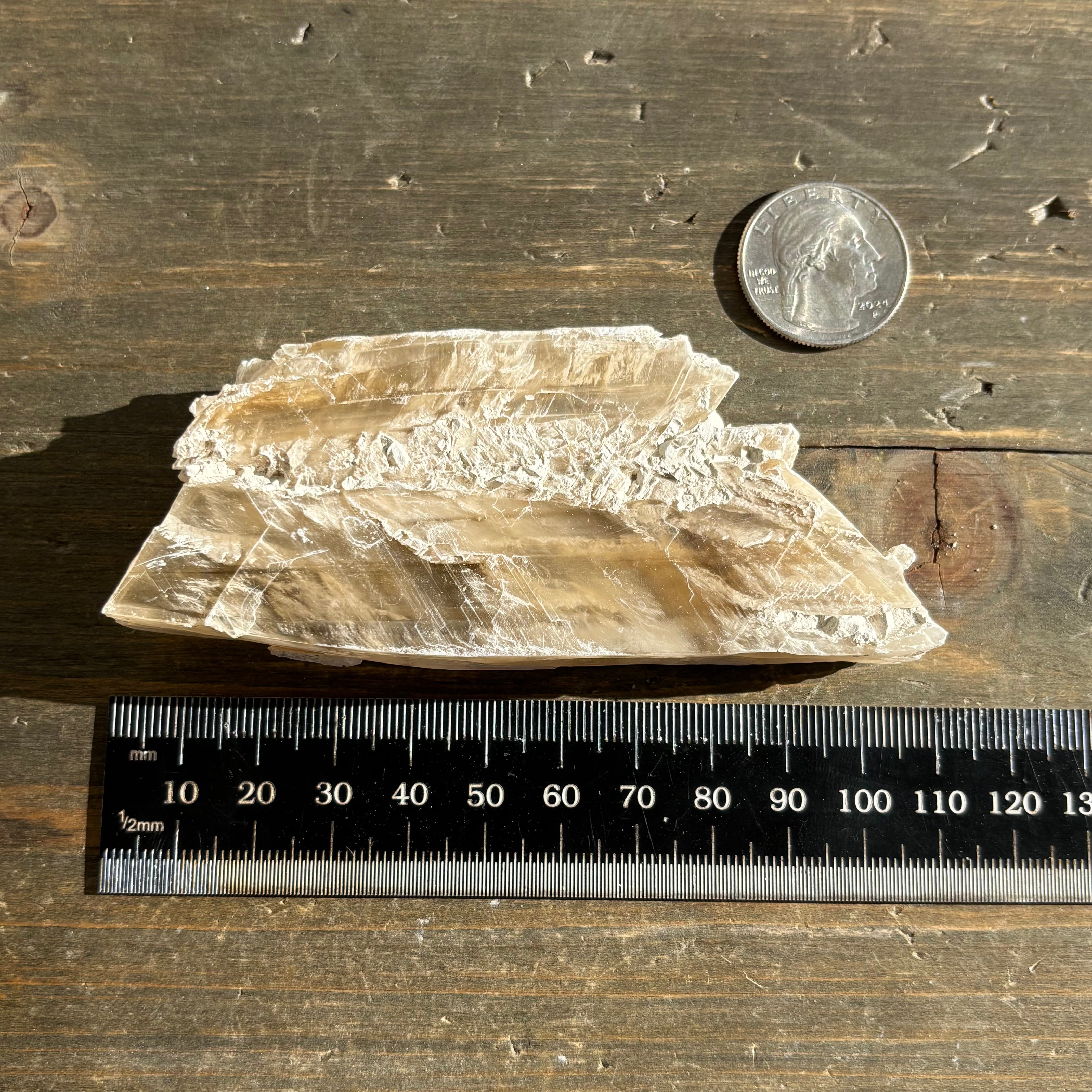 Champagne Selenite - 017