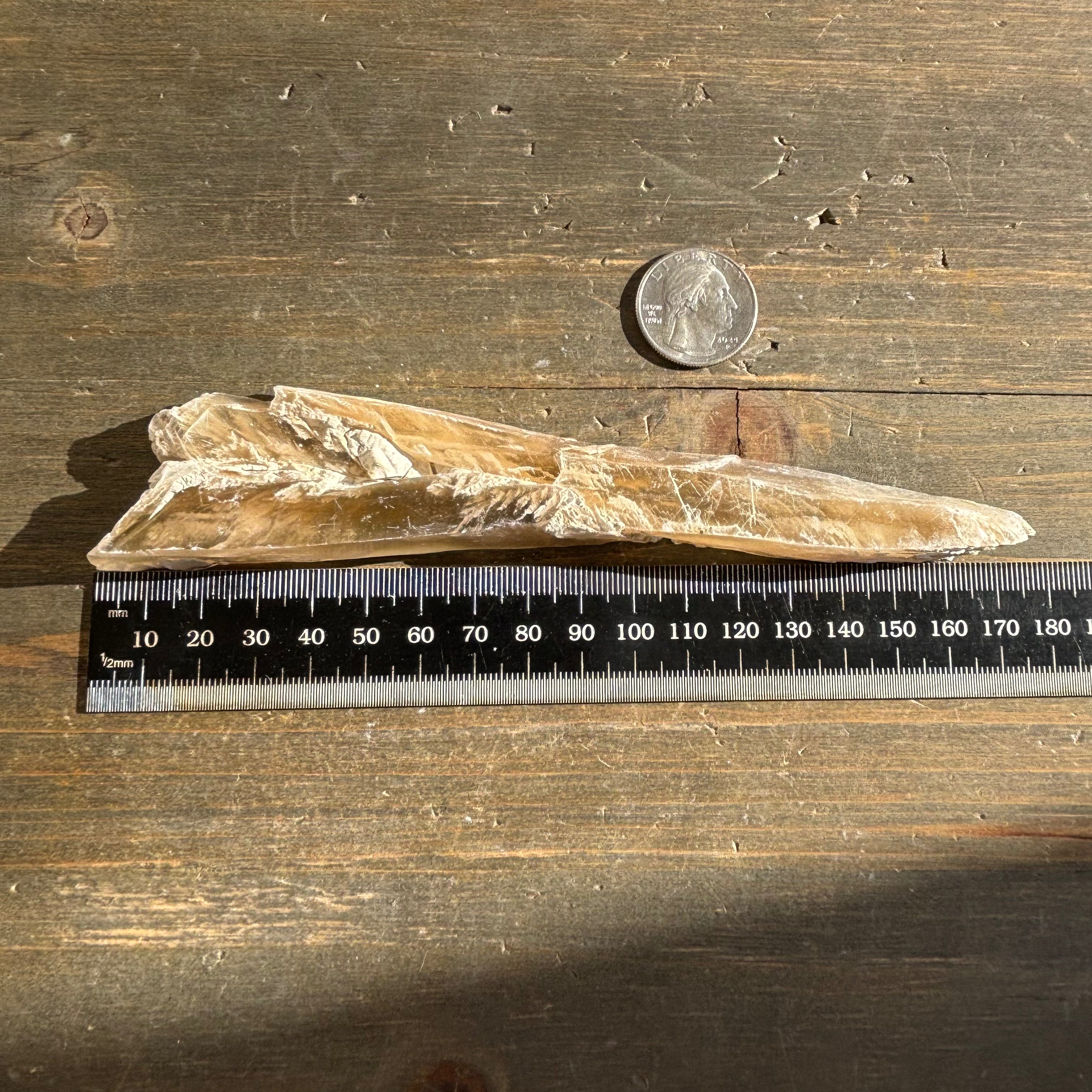 Champagne Selenite - 018