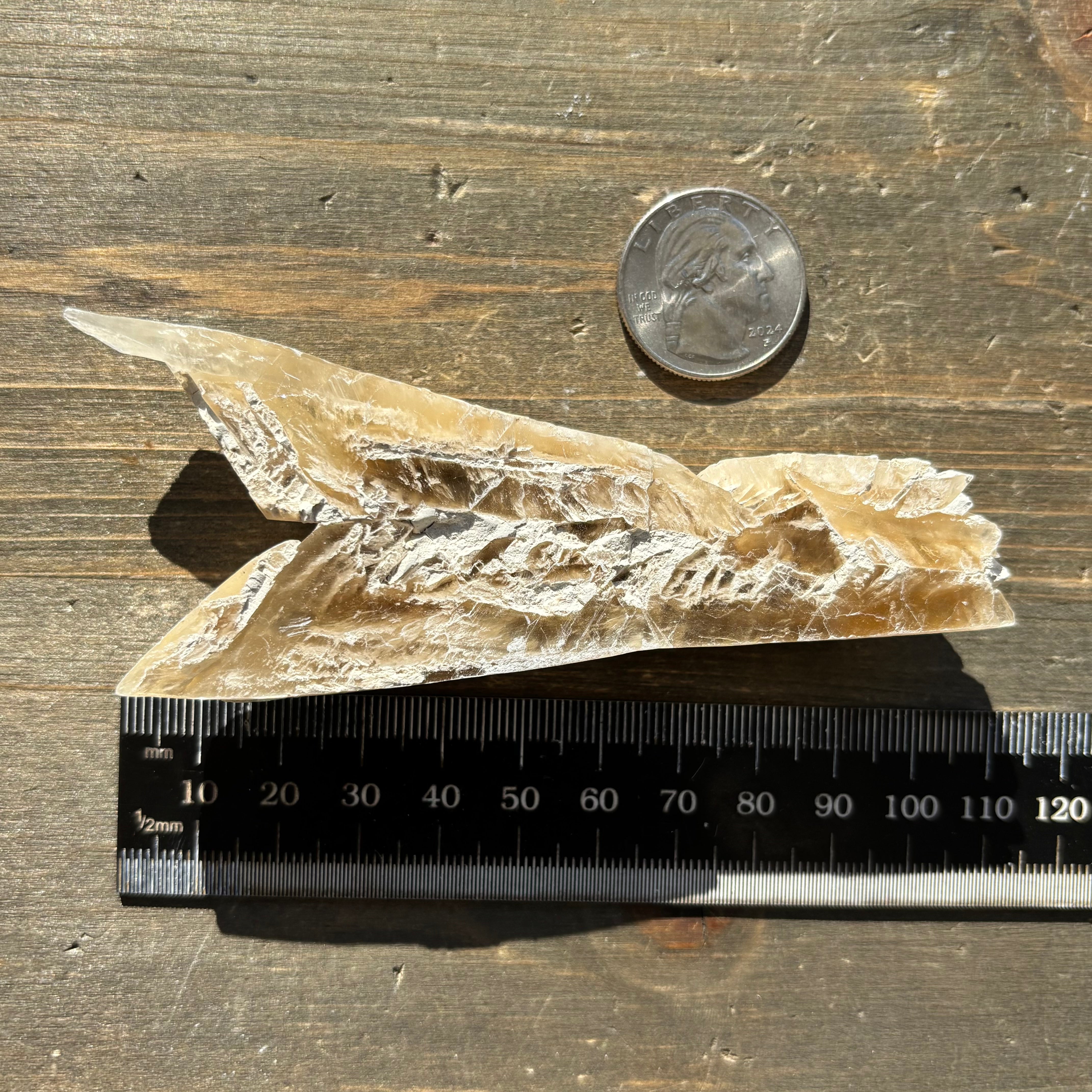 Champagne Selenite - 019