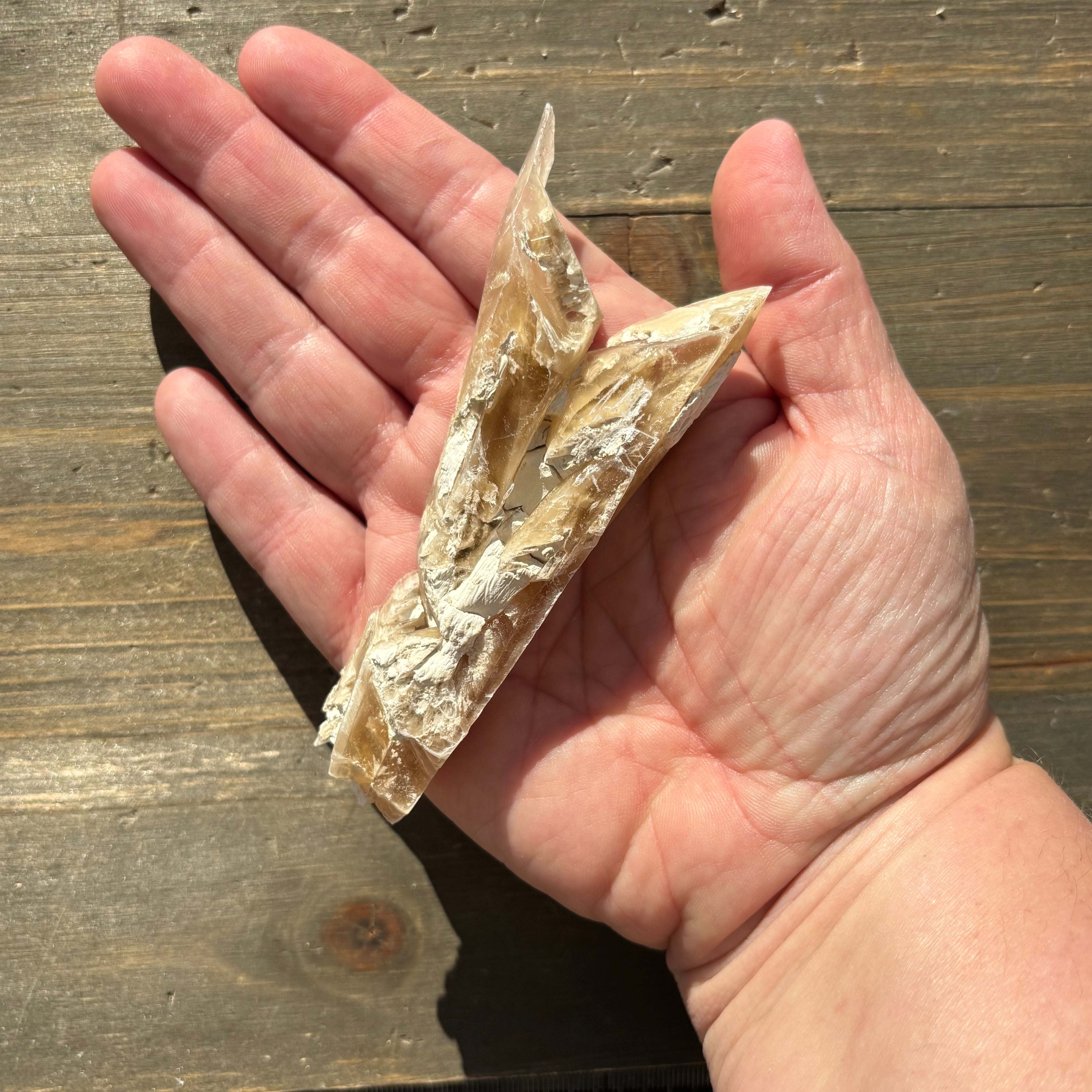 Champagne Selenite - 019