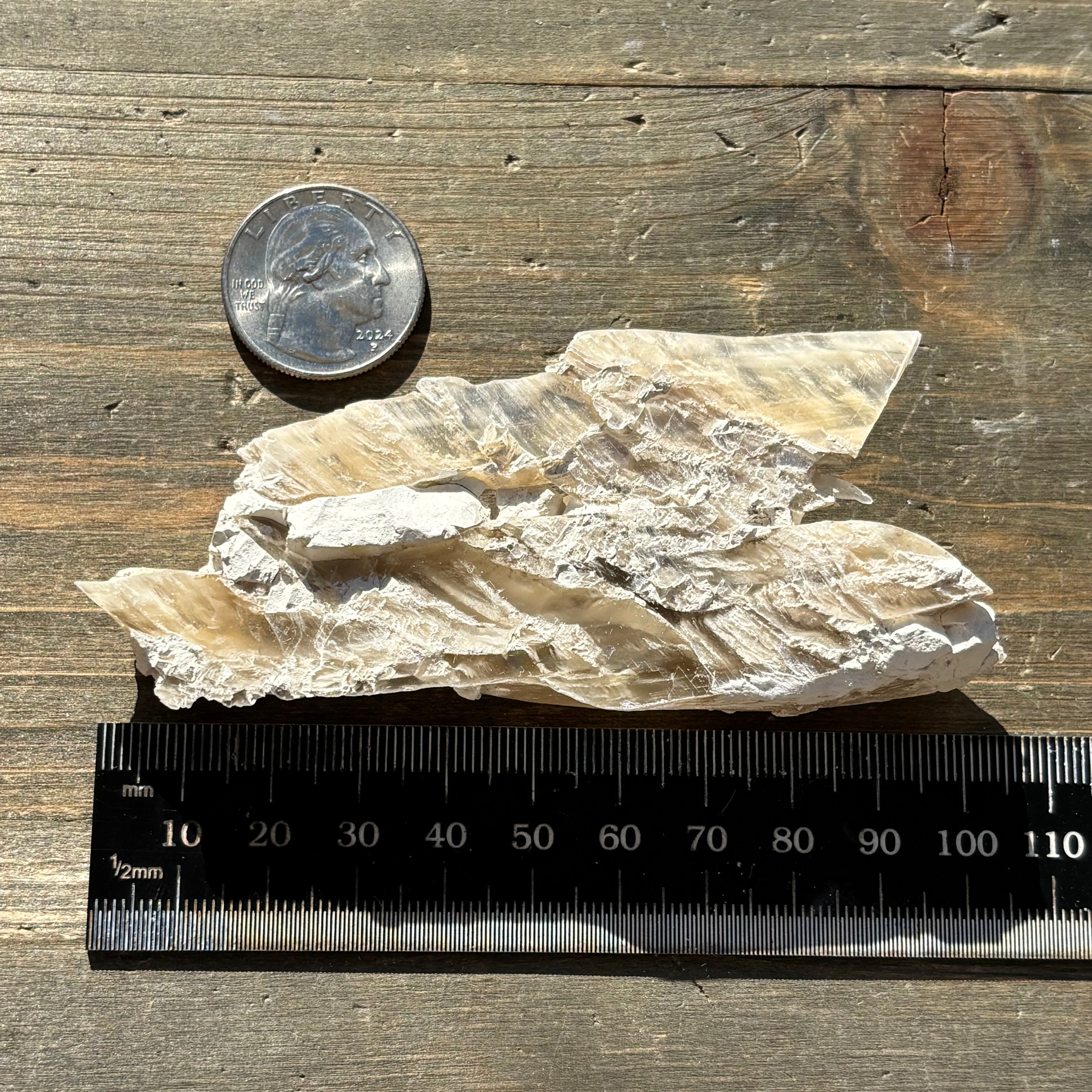 Champagne Selenite - 020
