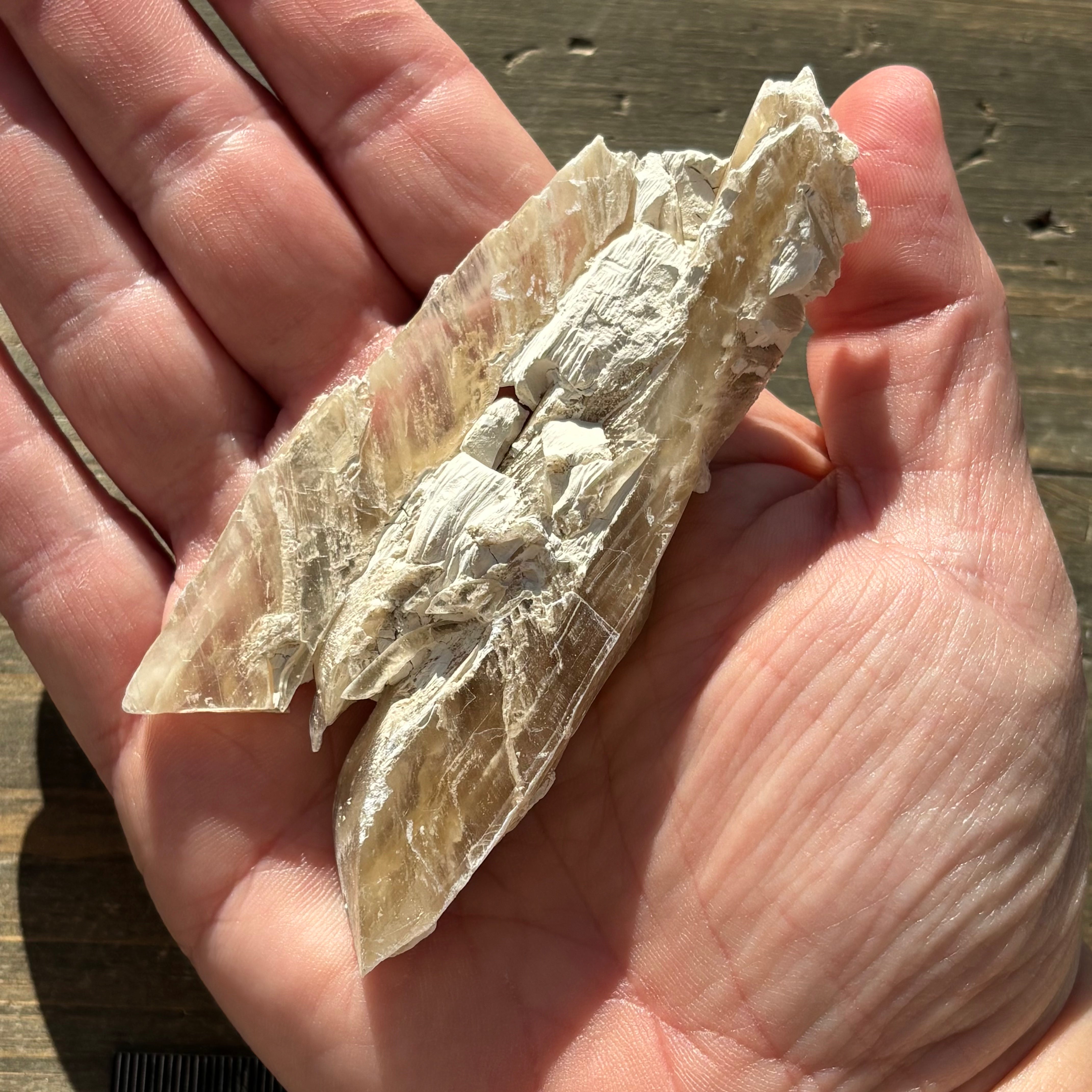 Champagne Selenite - 020