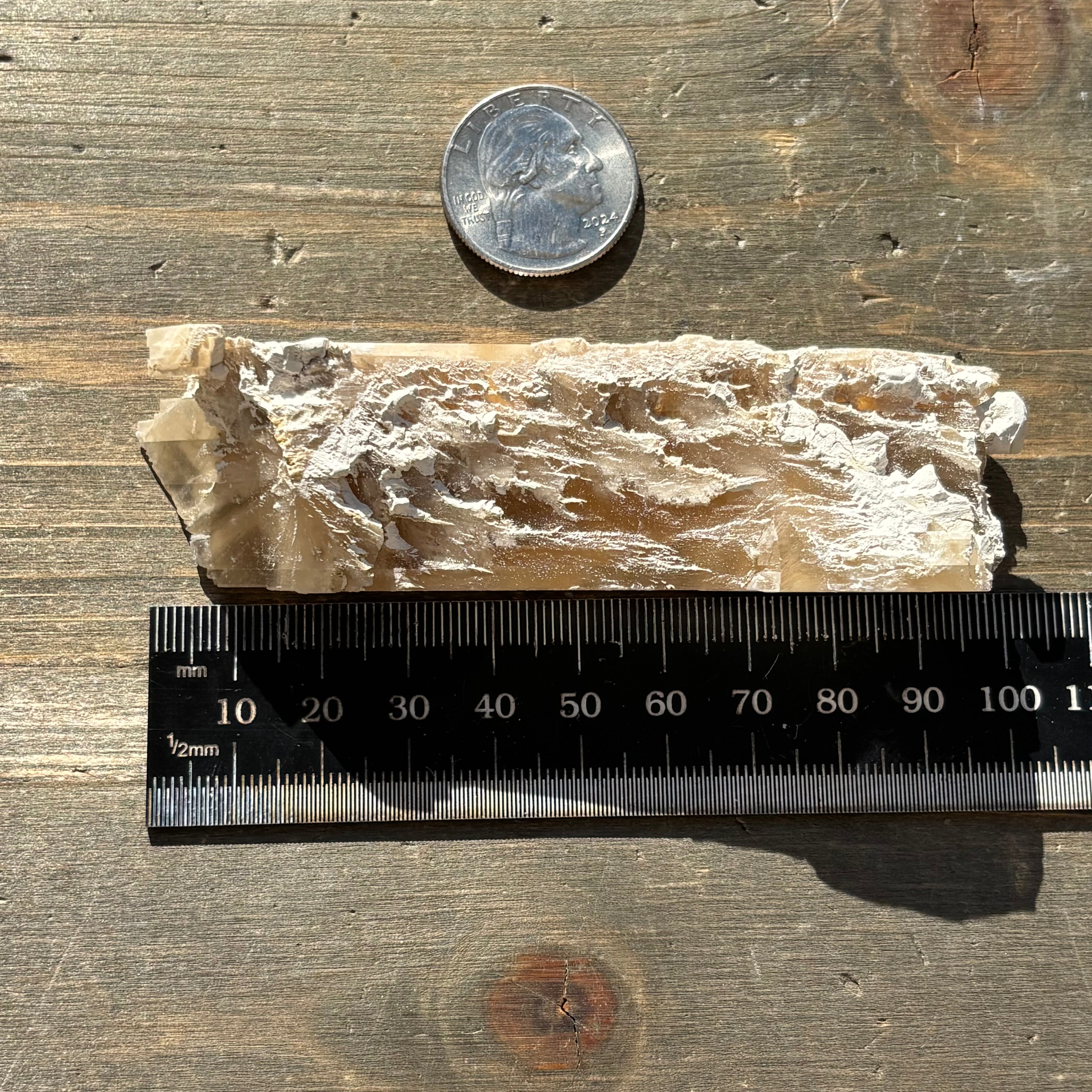Champagne Selenite - 021