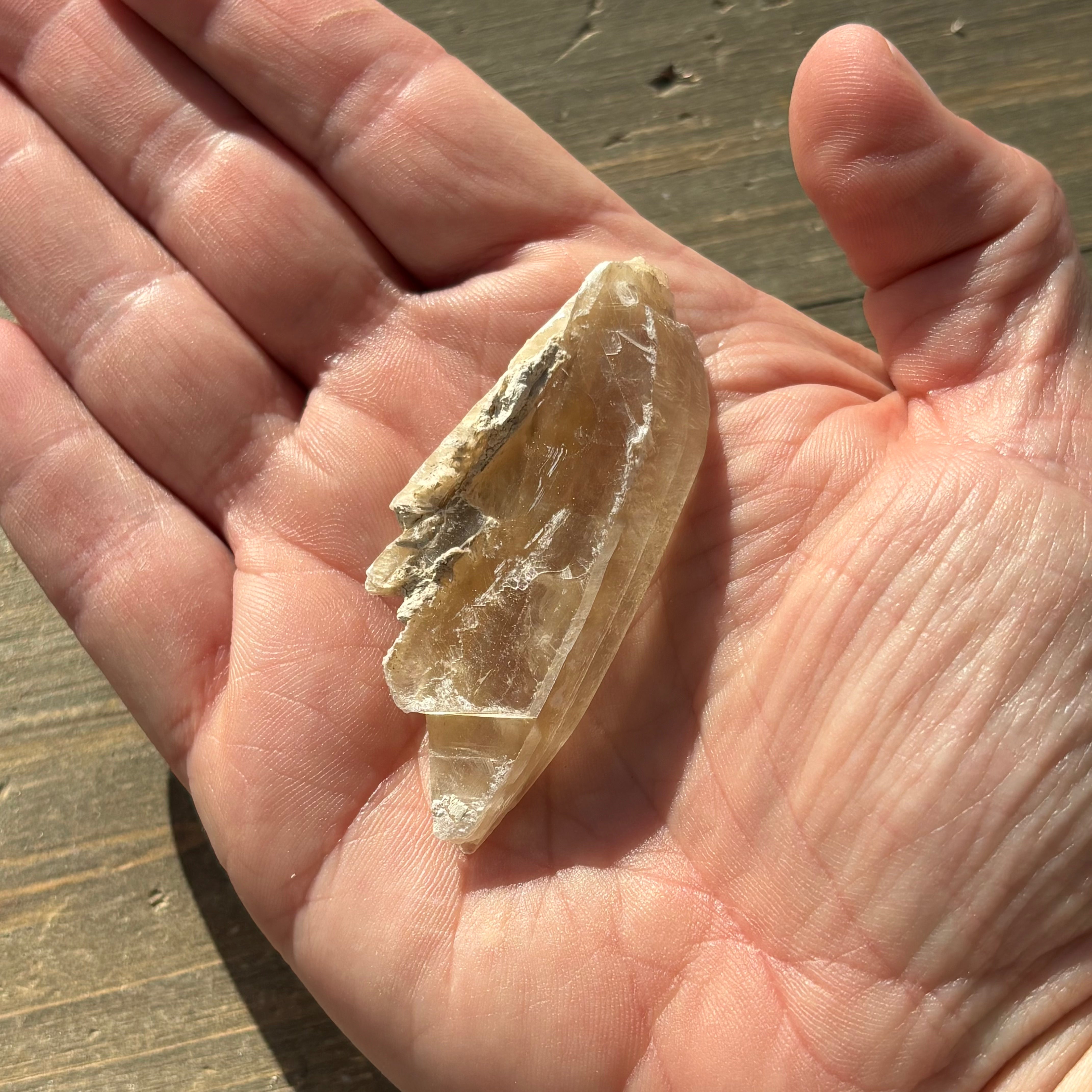 Champagne Selenite - 024