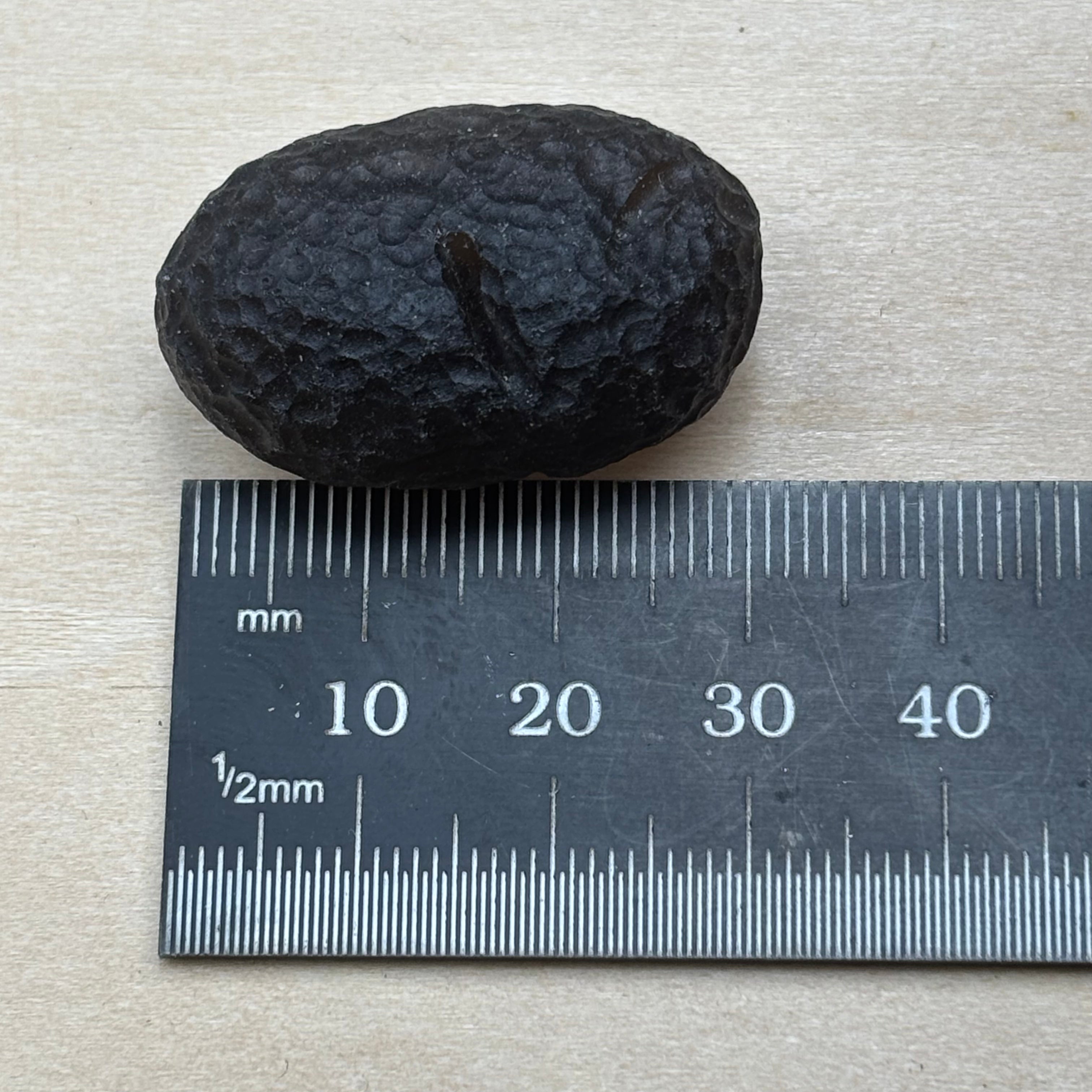 Tektite - 010