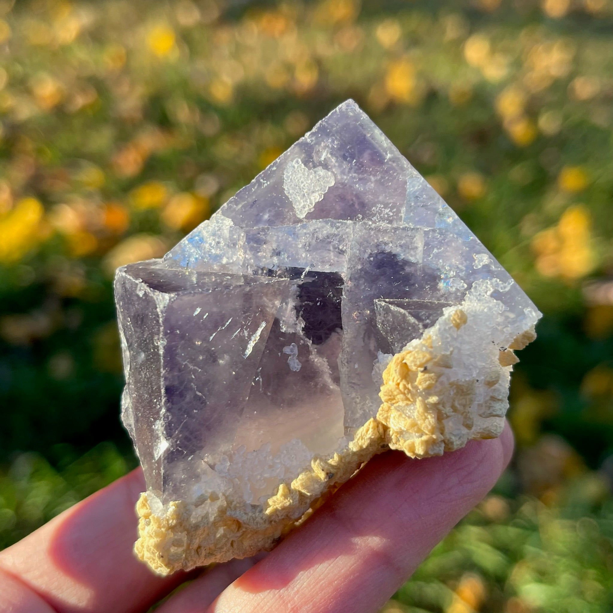 Color Changing Fluorite - 023