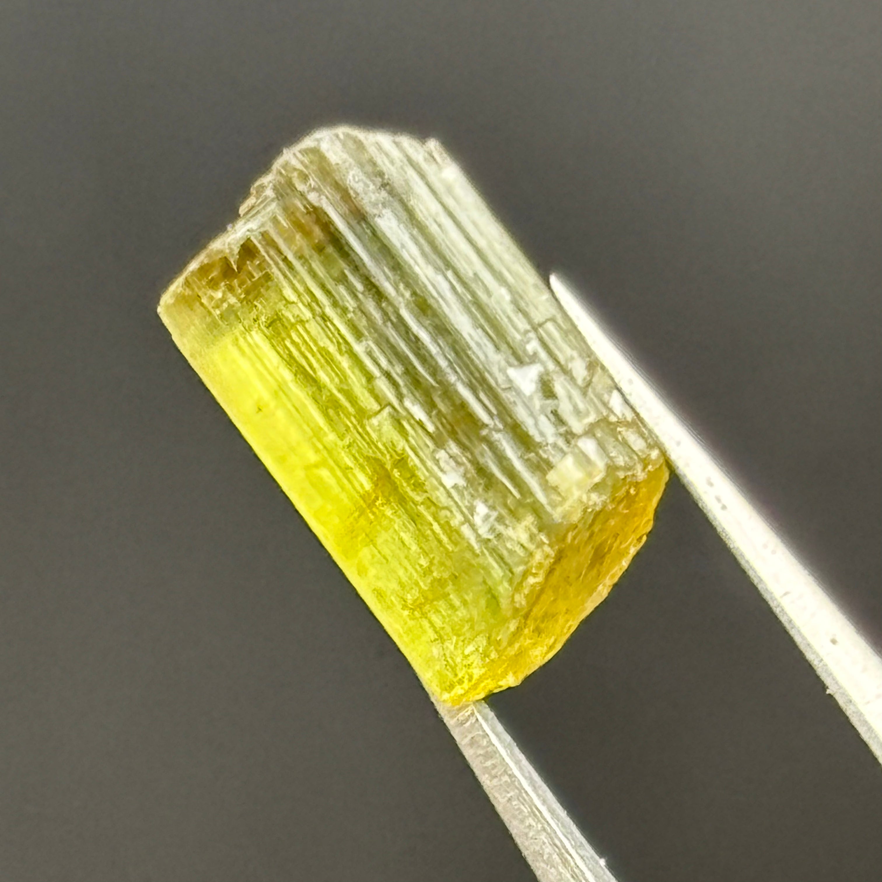 Green Tourmaline Crystal - 268