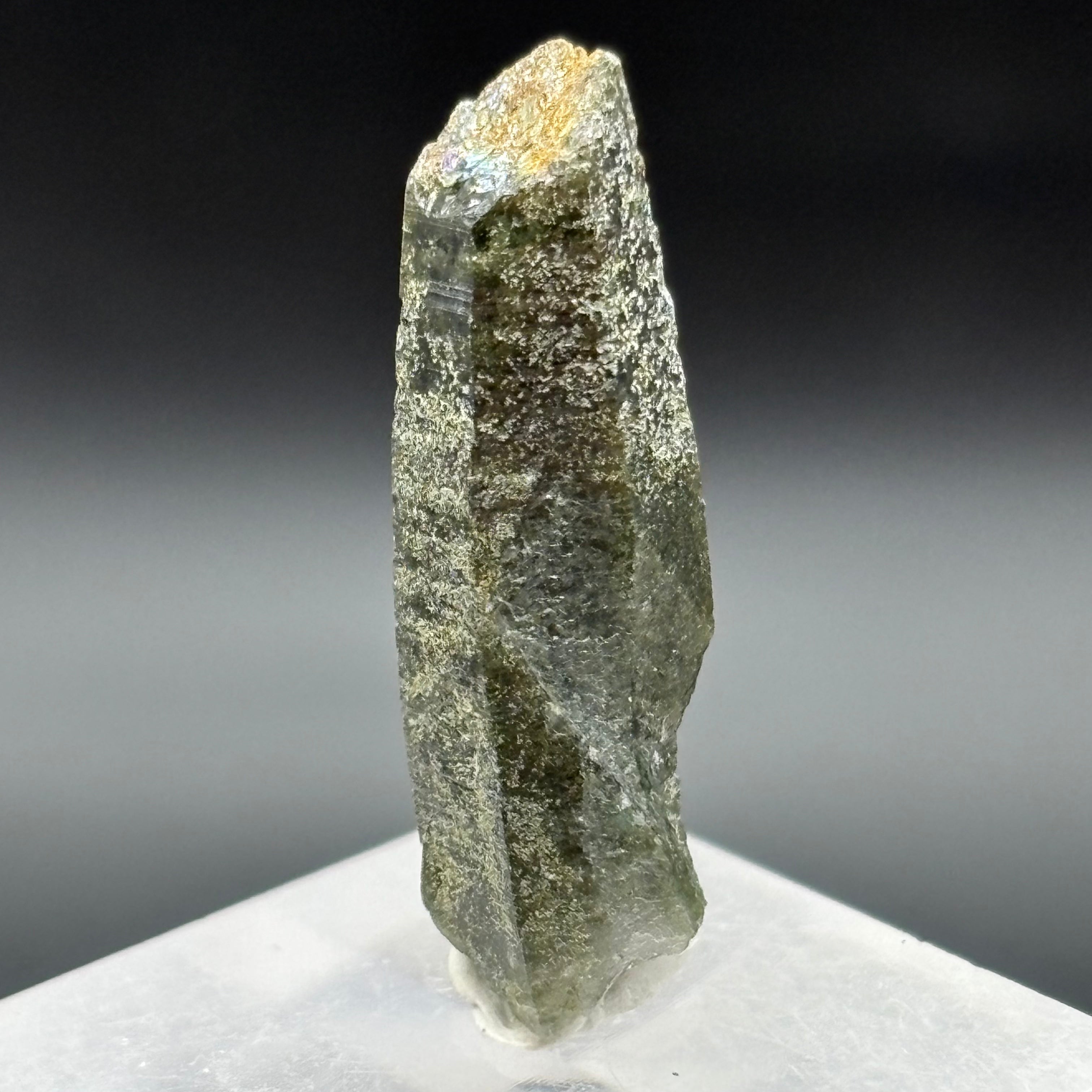 Himalayan Chlorite Quartz Point - 065