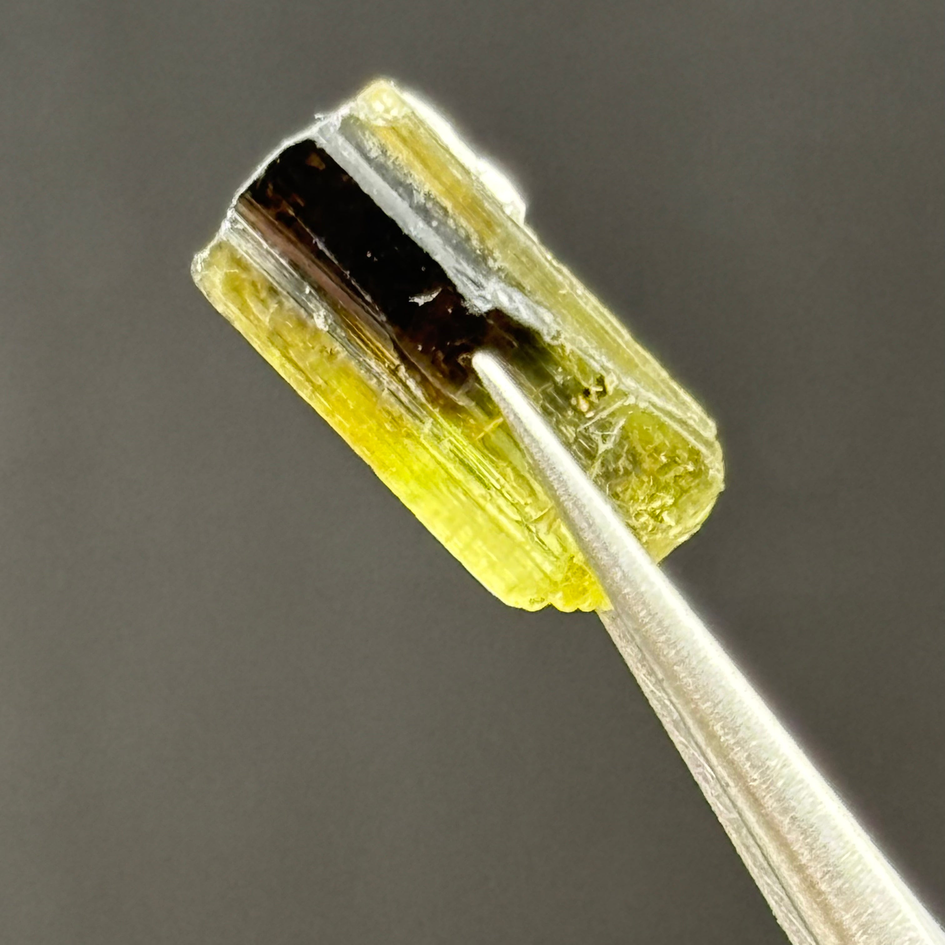 Green Tourmaline Crystal - 275