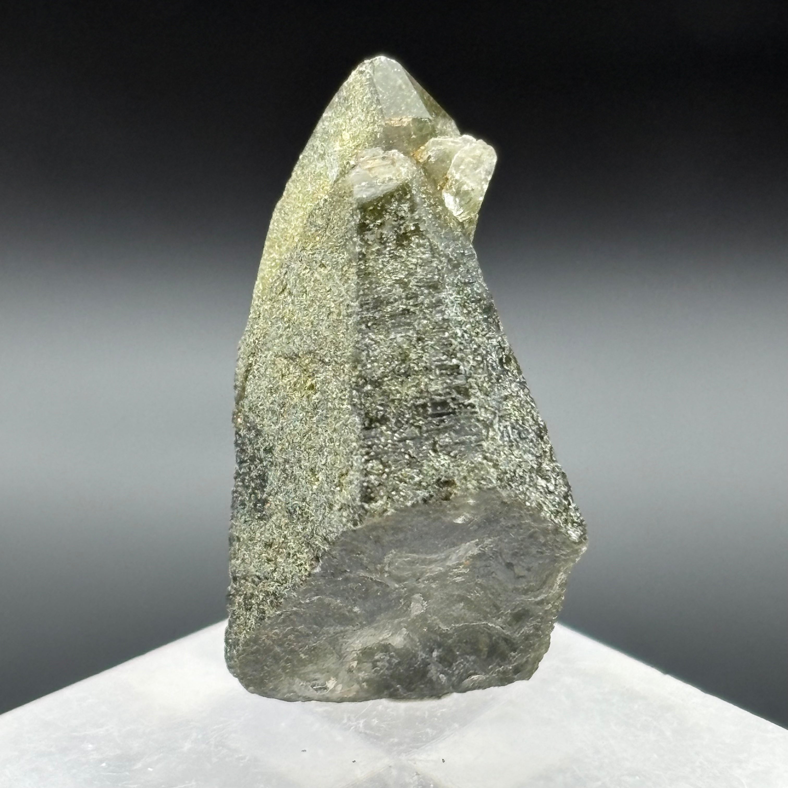 Himalayan Chlorite Quartz Point - 079